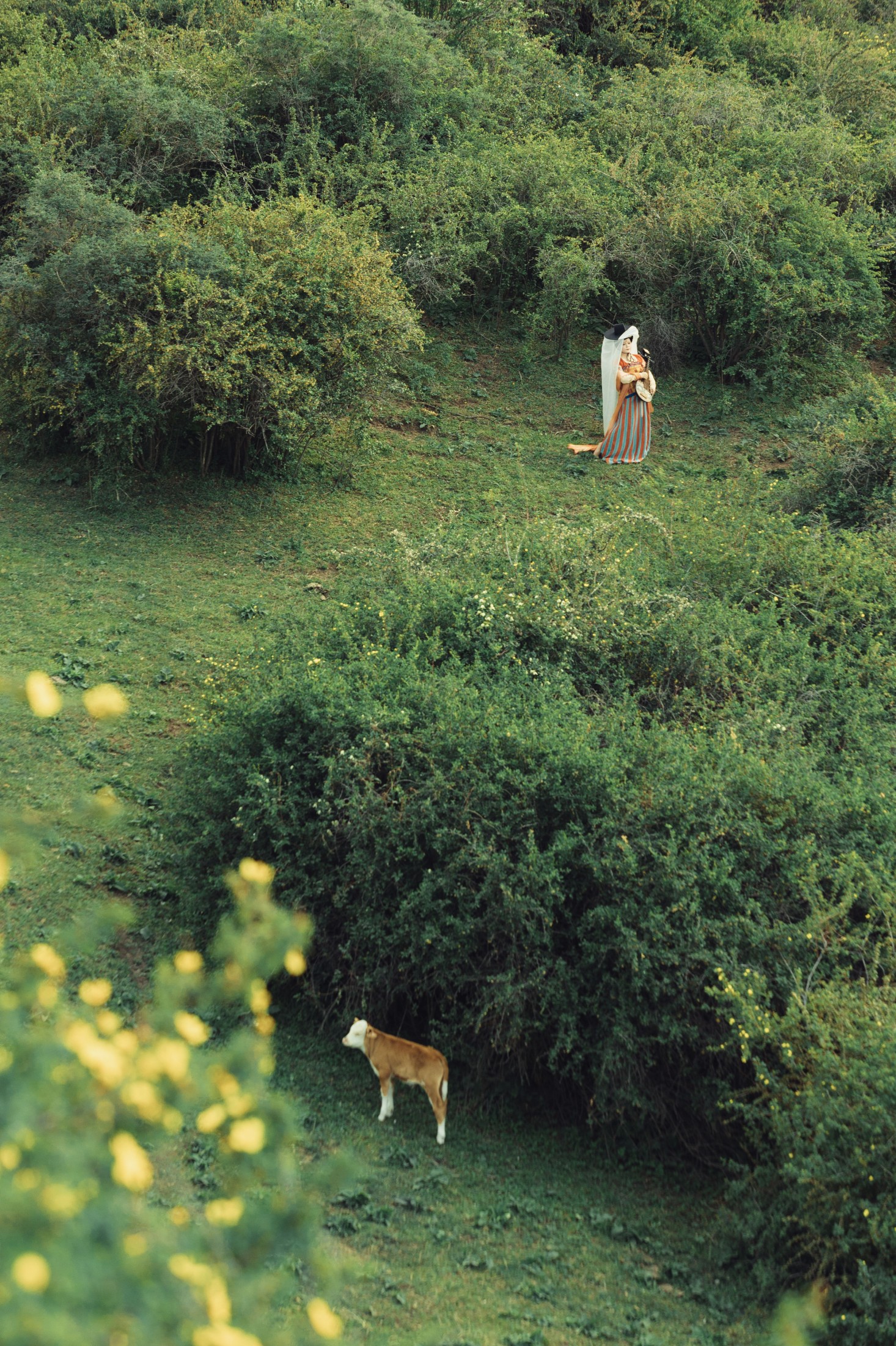 咕咕咕 – 《山野之间》[30P]