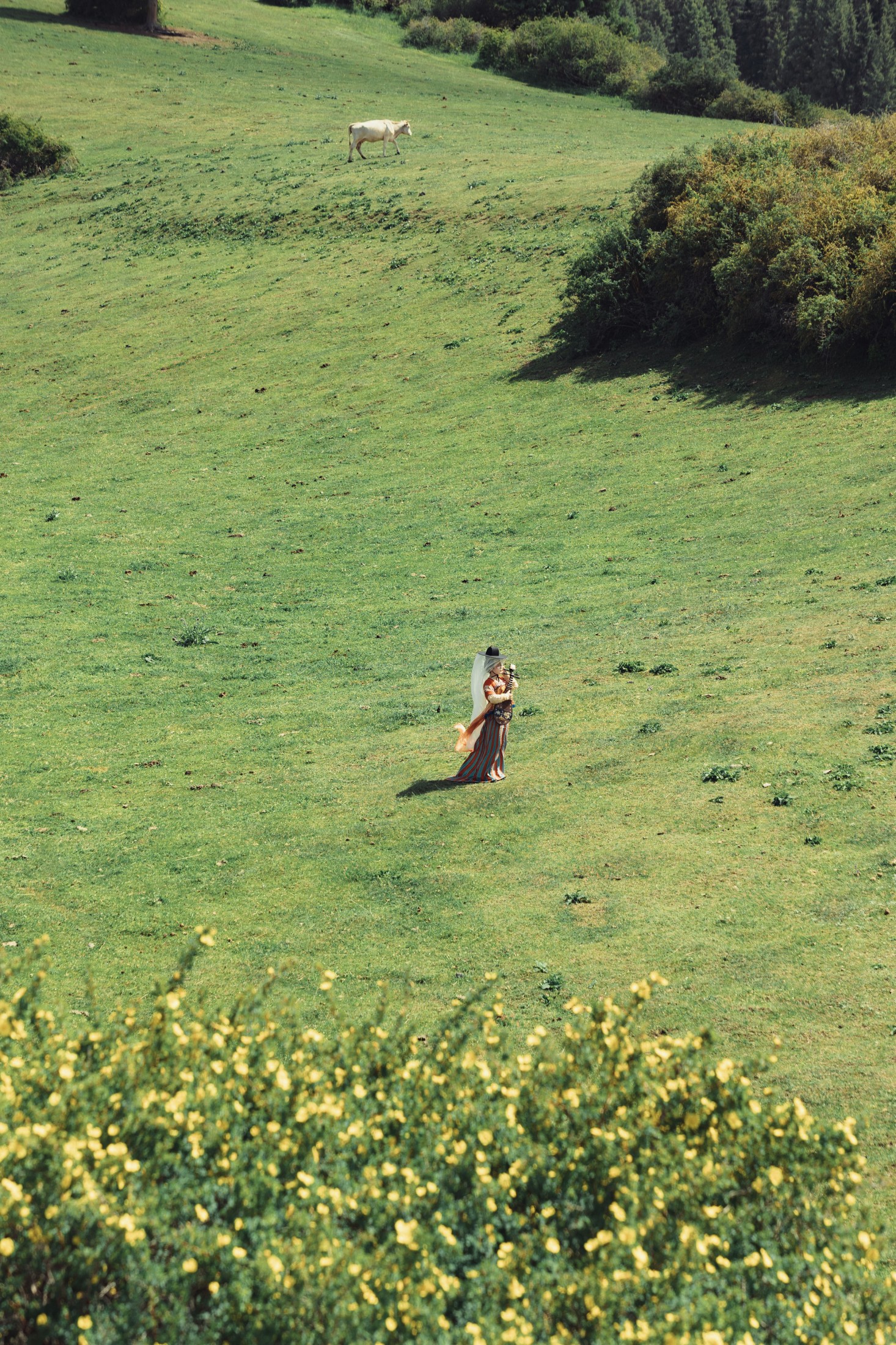 咕咕咕 – 《山野之间》[30P]