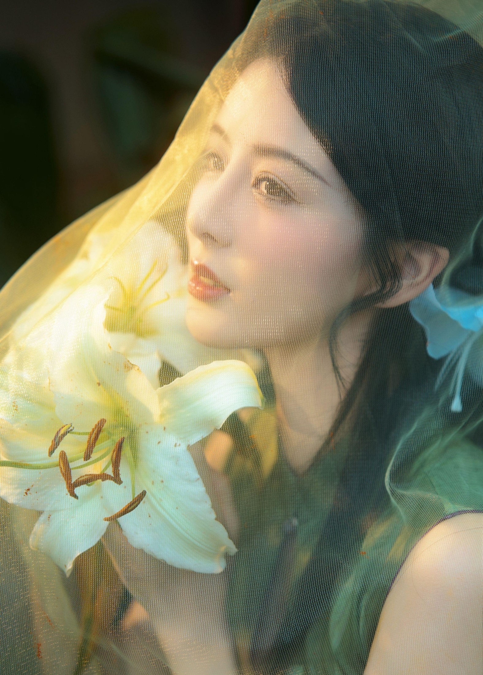 言欢 – 《不与花同梦》[13P]