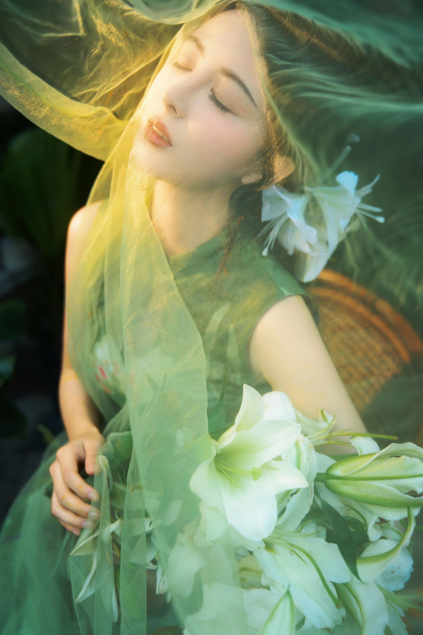 言欢 – 《不与花同梦》[13P]