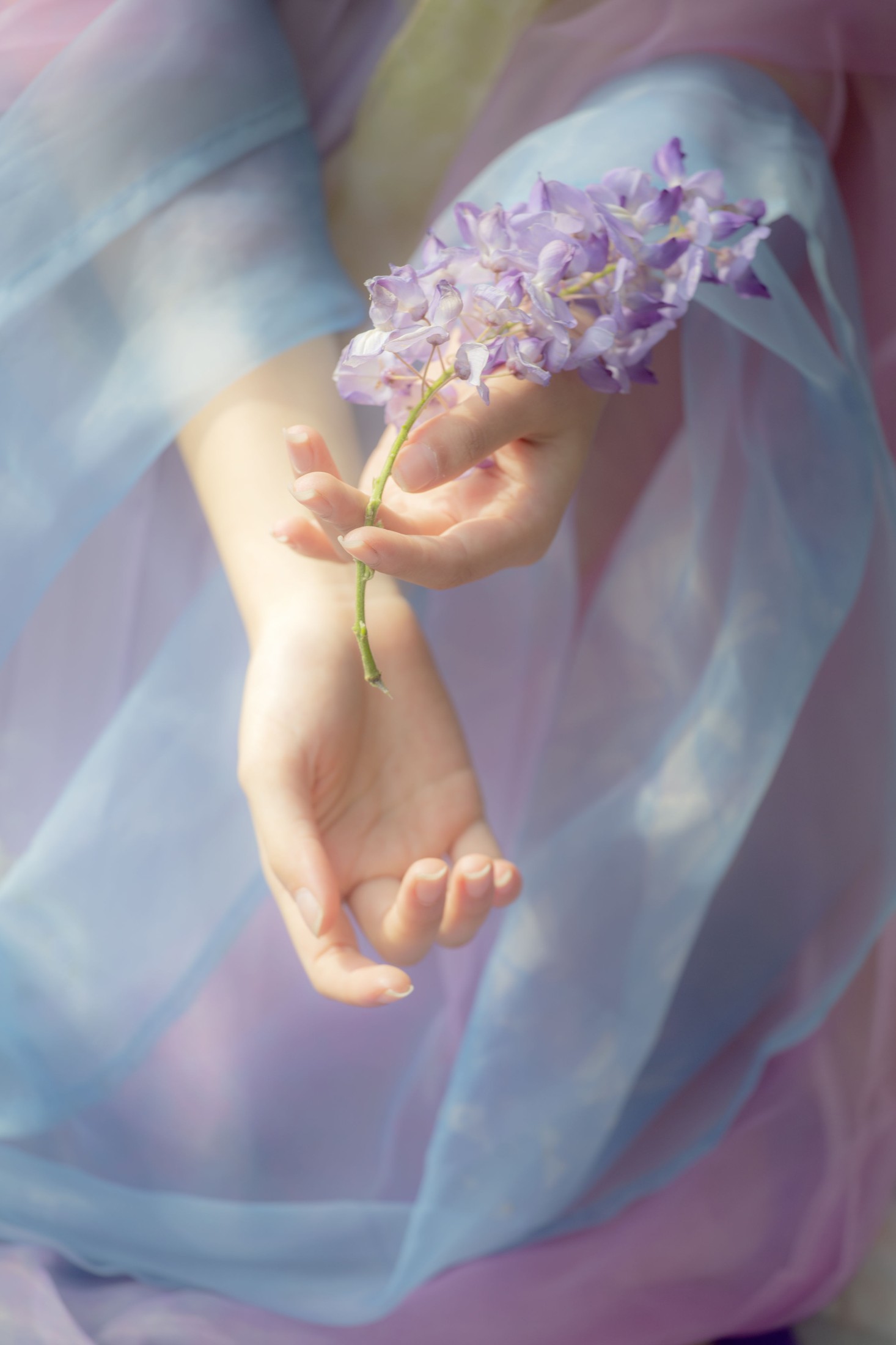 池白浔 – 《紫藤花》[22P]