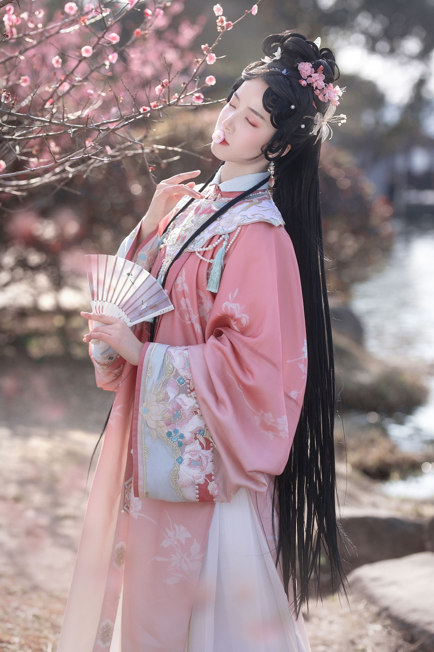 一只阿梦崽 – 《试问春留几日?》[14P]