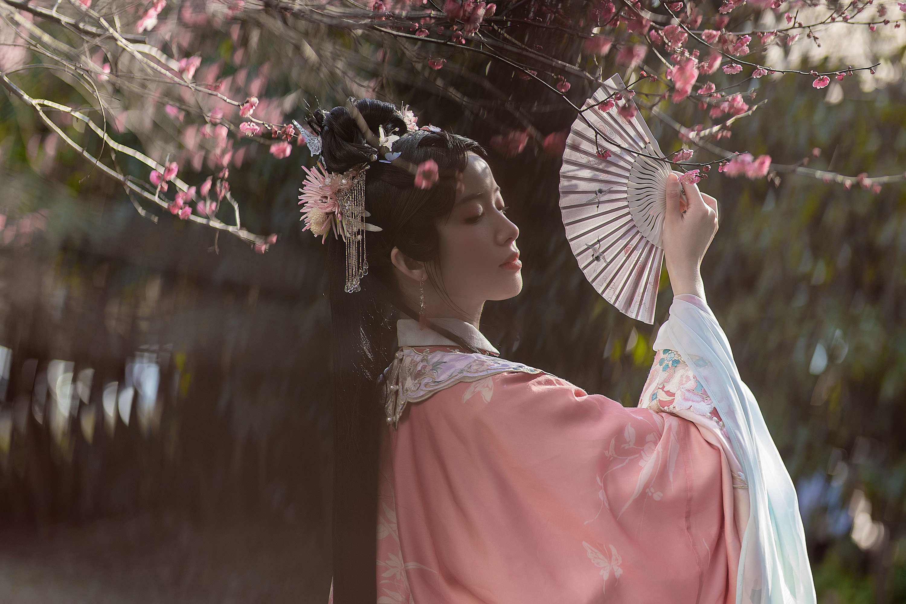 一只阿梦崽 – 《试问春留几日?》[14P]