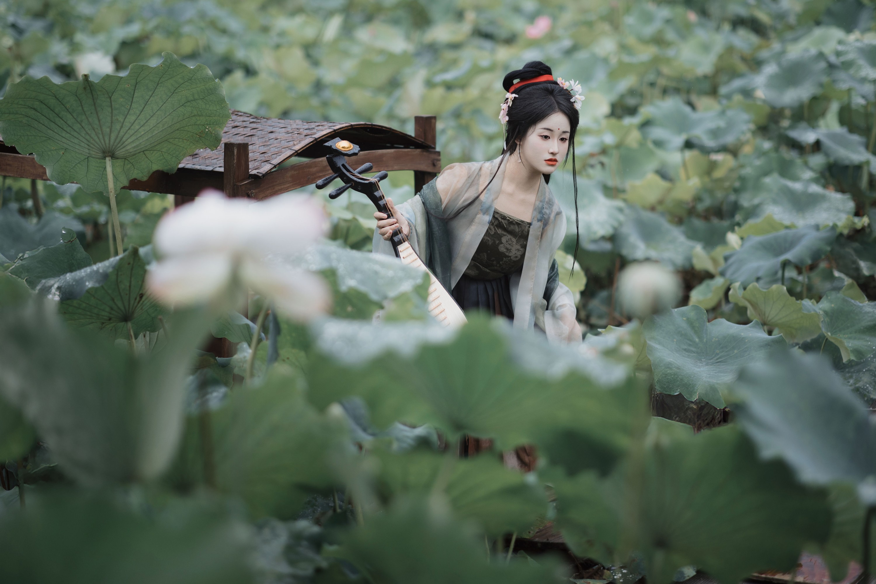 原地掉线去夜闹 – 《雨中采荷》[35P]