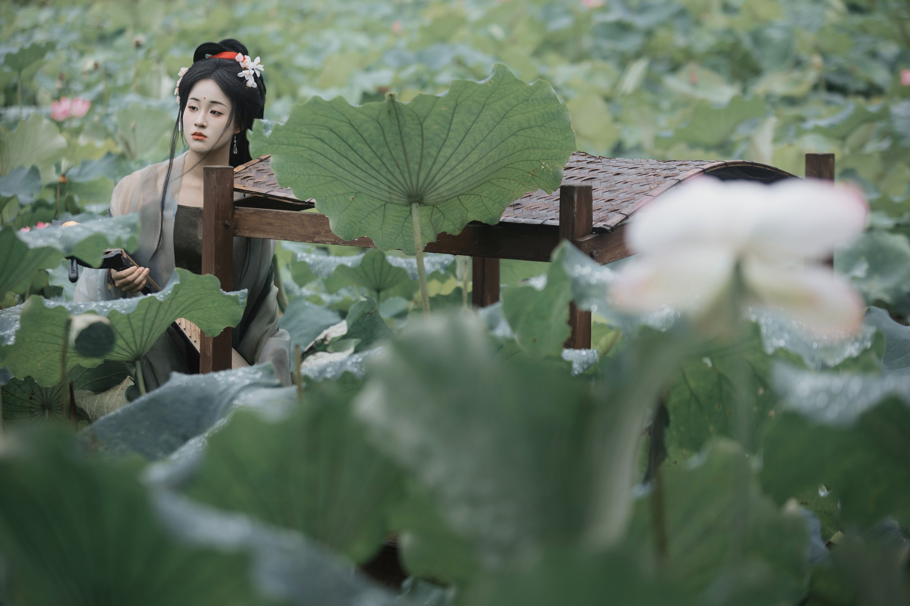 原地掉线去夜闹 – 《雨中采荷》[35P]