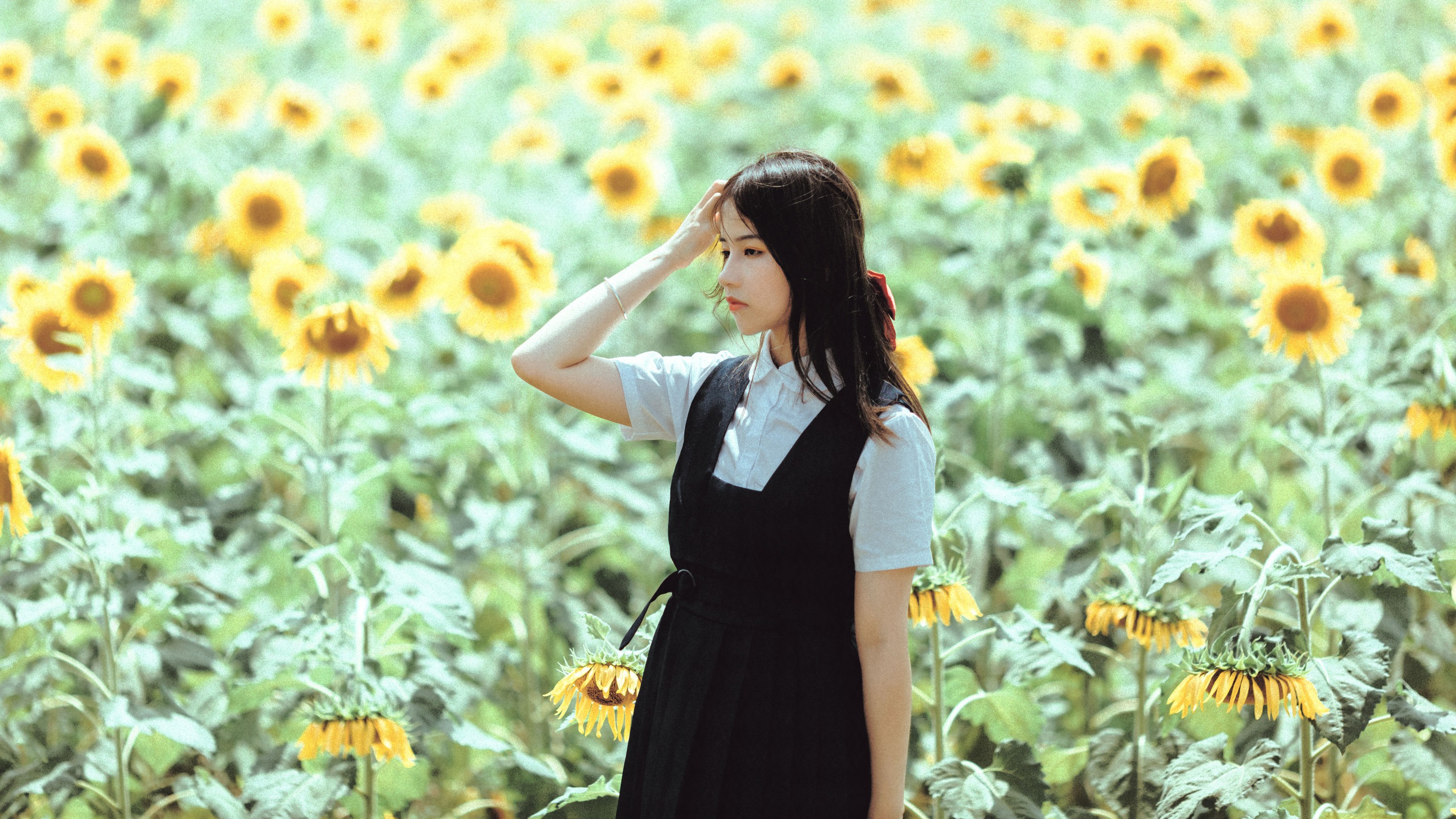 薇薇 – 《夏天的太阳花》[17P]