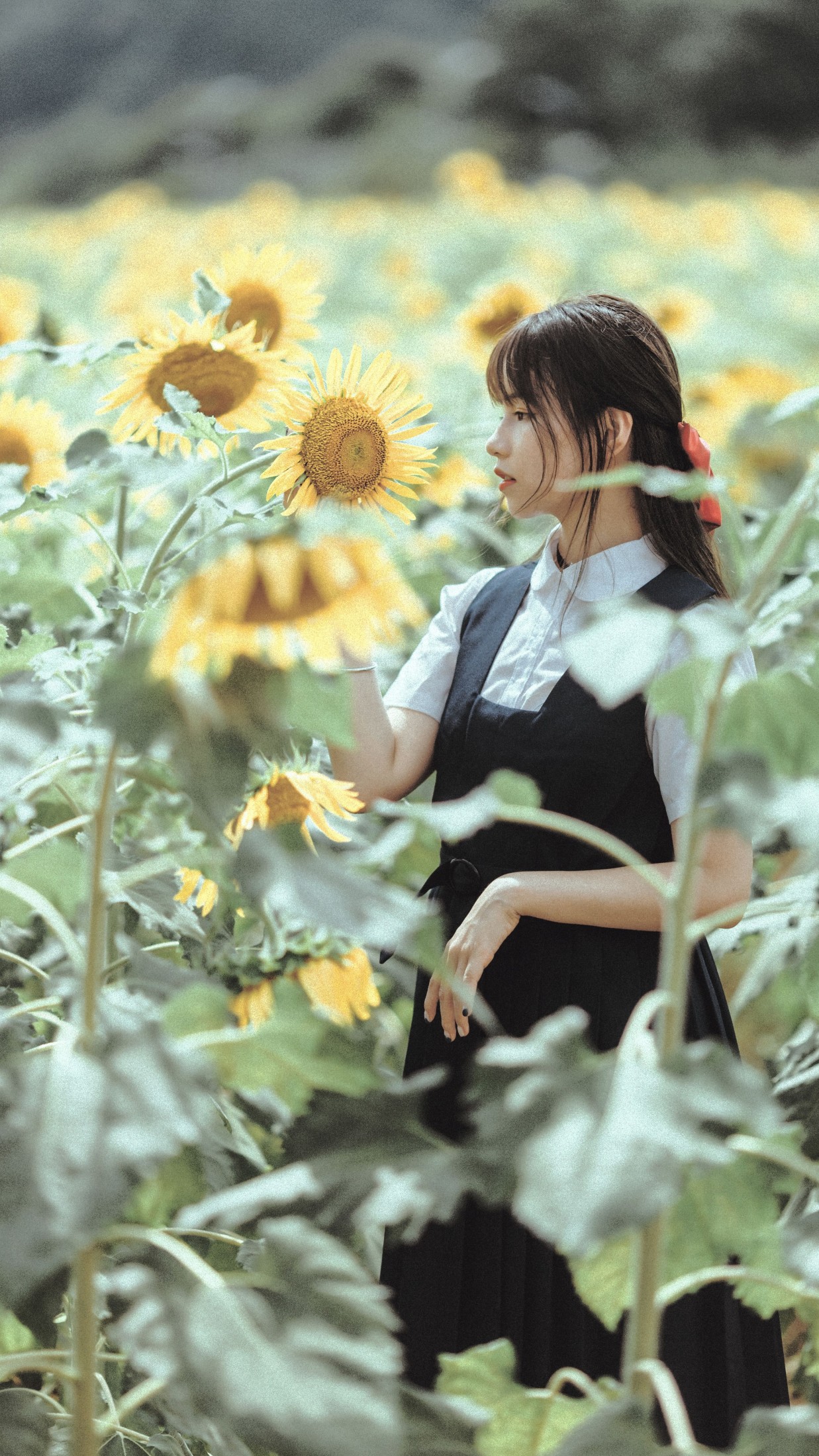 薇薇 – 《夏天的太阳花》[17P] 插图3