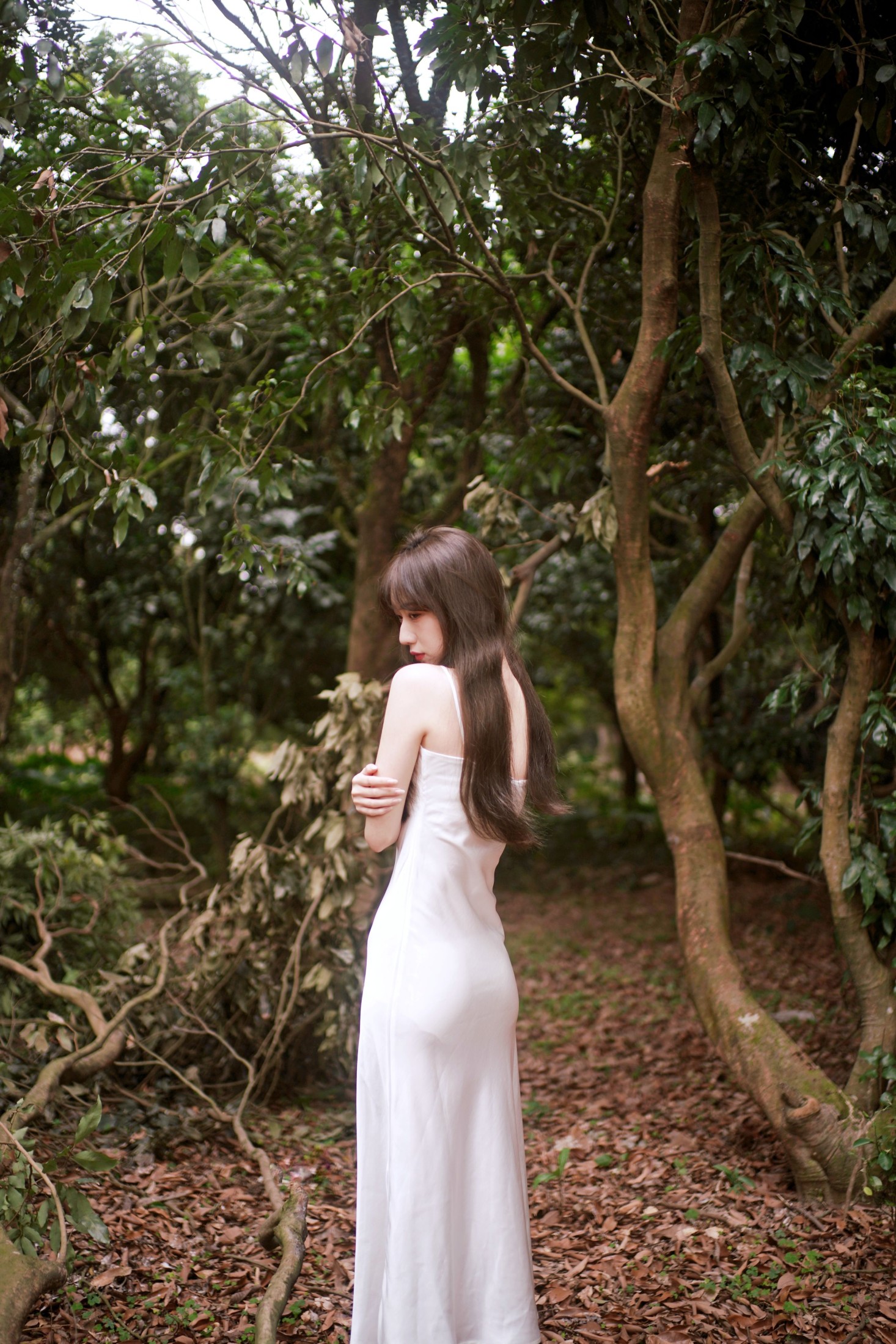 KK – 《荔枝树间的白裙诗》[20P]