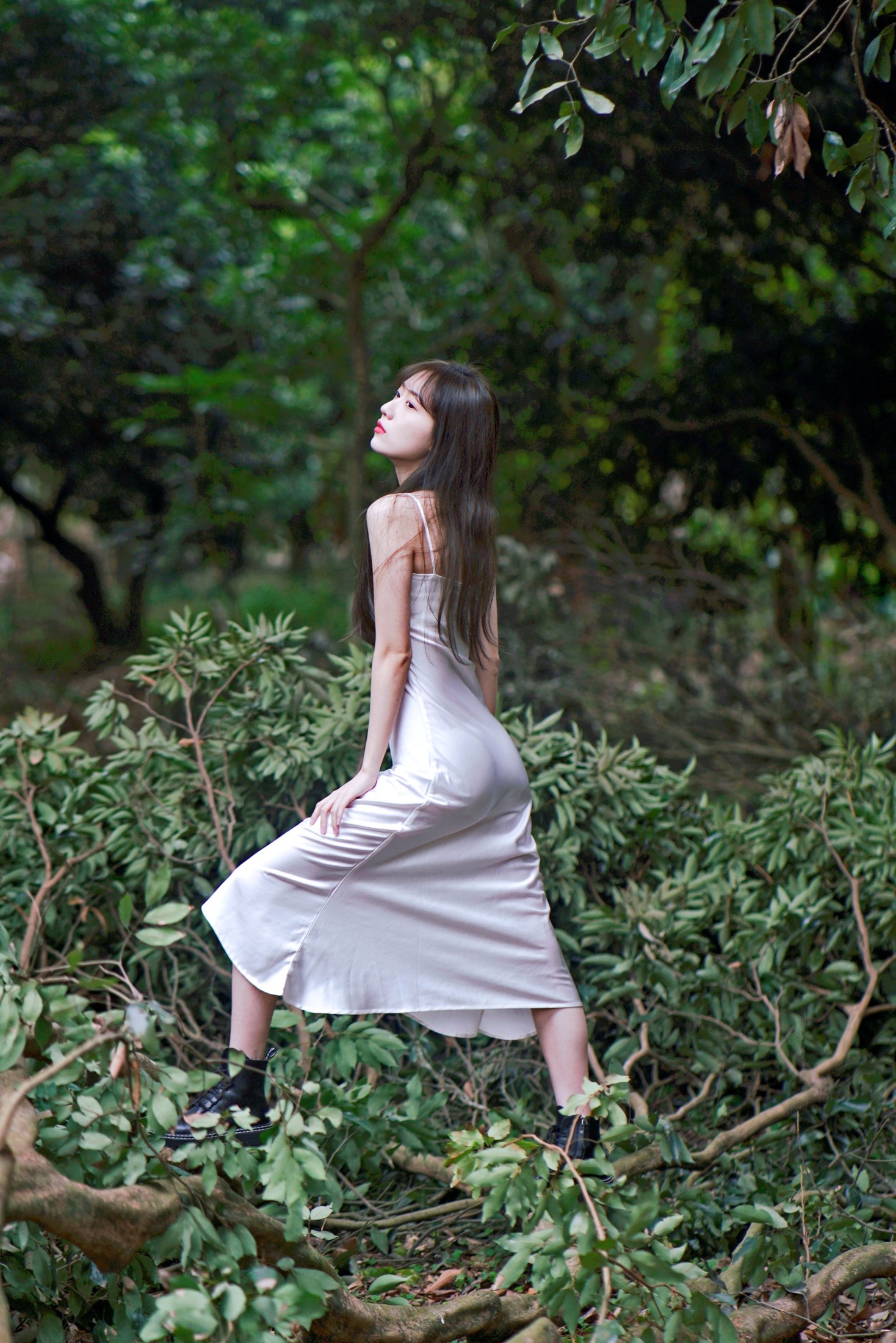 KK – 《荔枝树间的白裙诗》[20P]