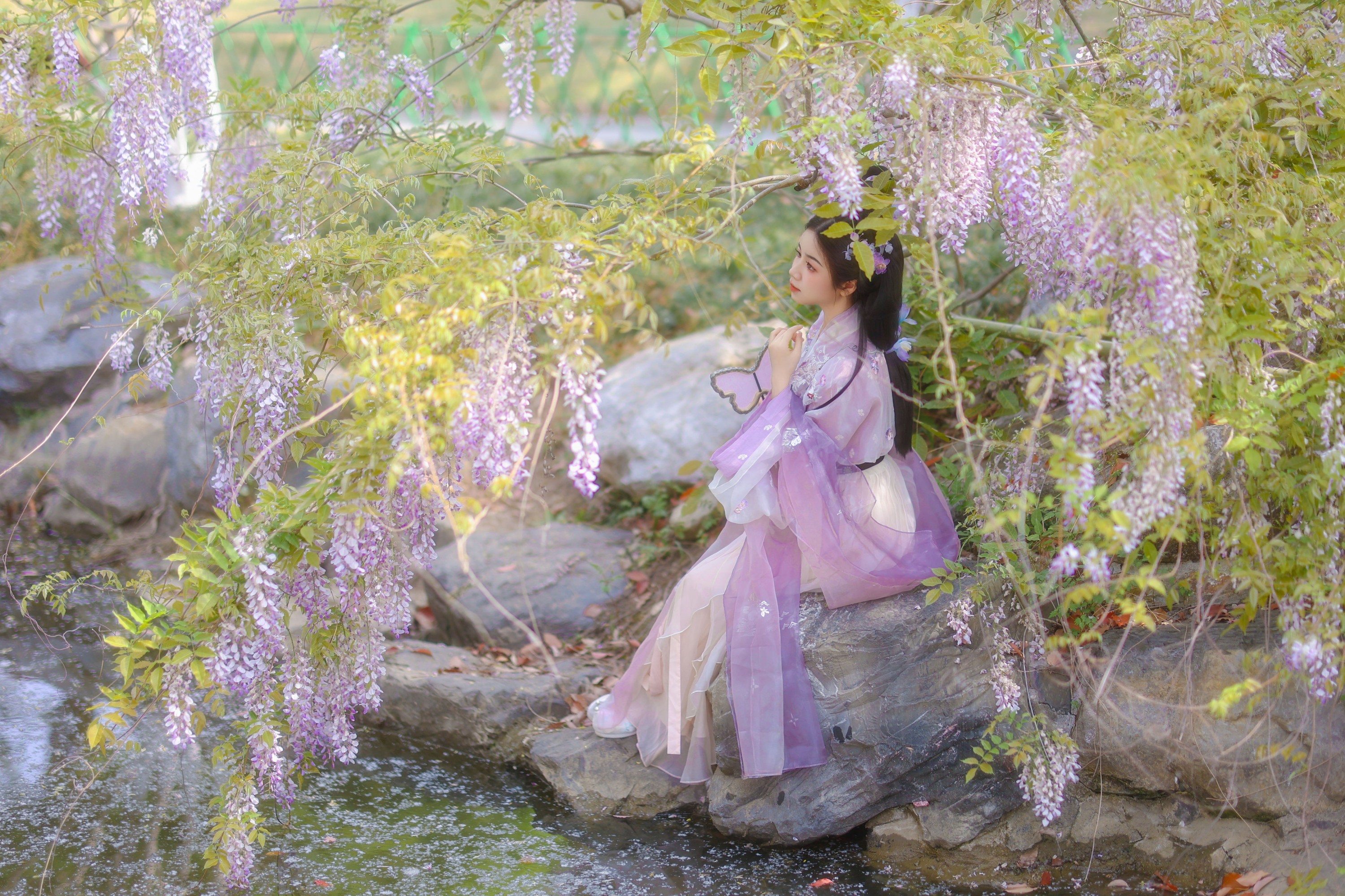 小杜同学 – 《紫藤》[40P]