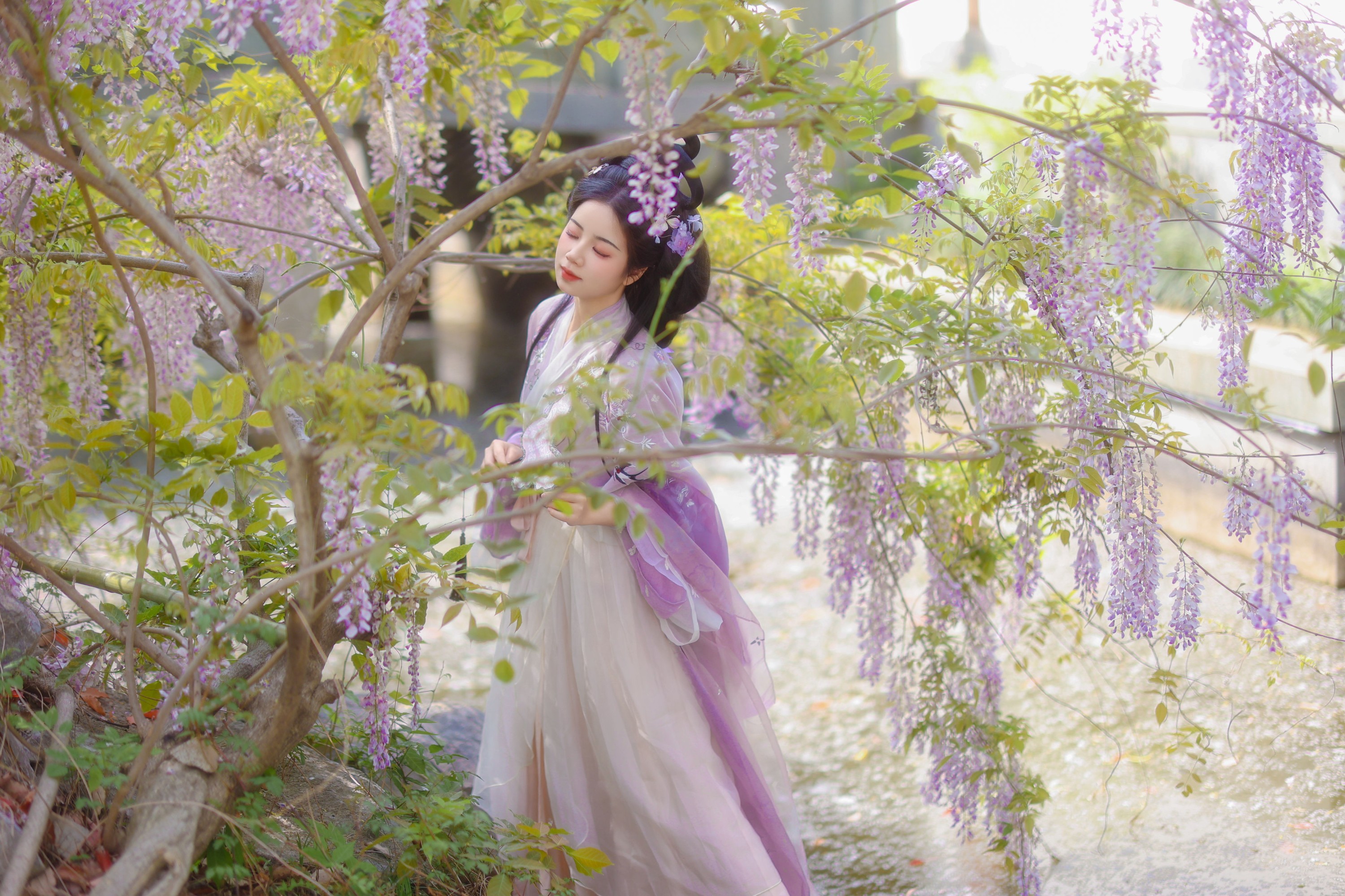 小杜同学 – 《紫藤》[40P] 插图4