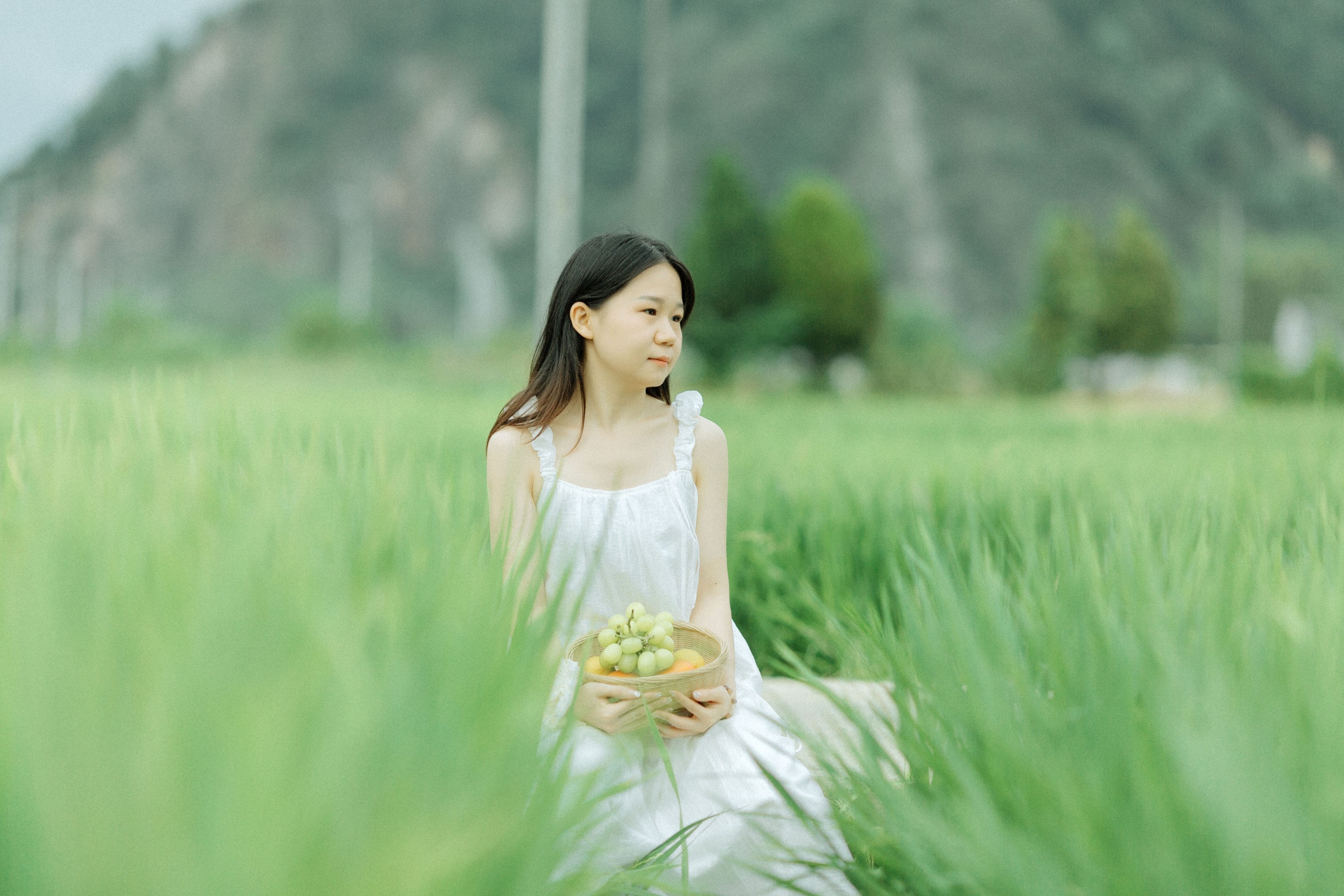 vivi – 《稻花香》[26P]