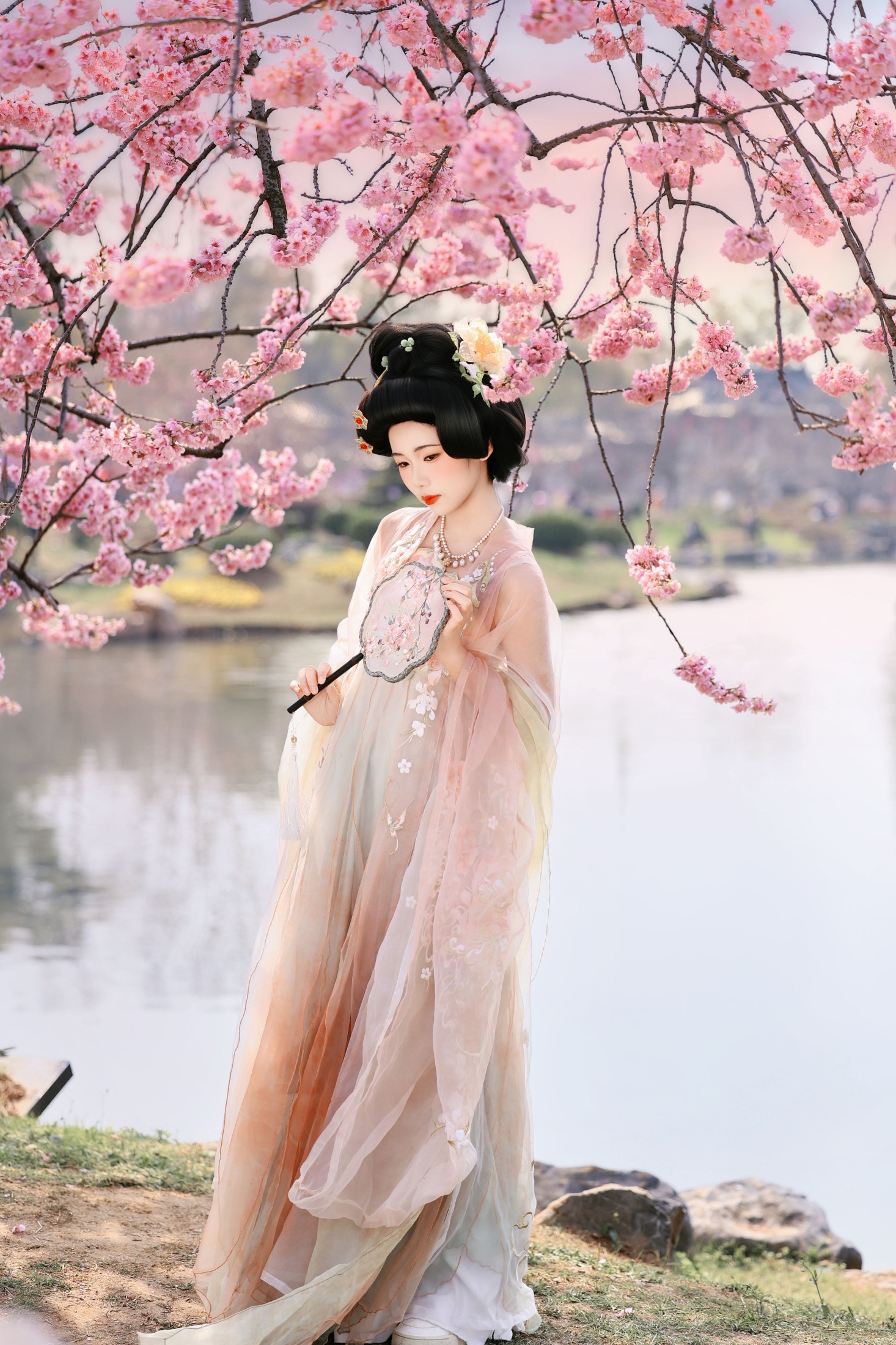 沸腾的米粥 – 《樱花梦》[23P]