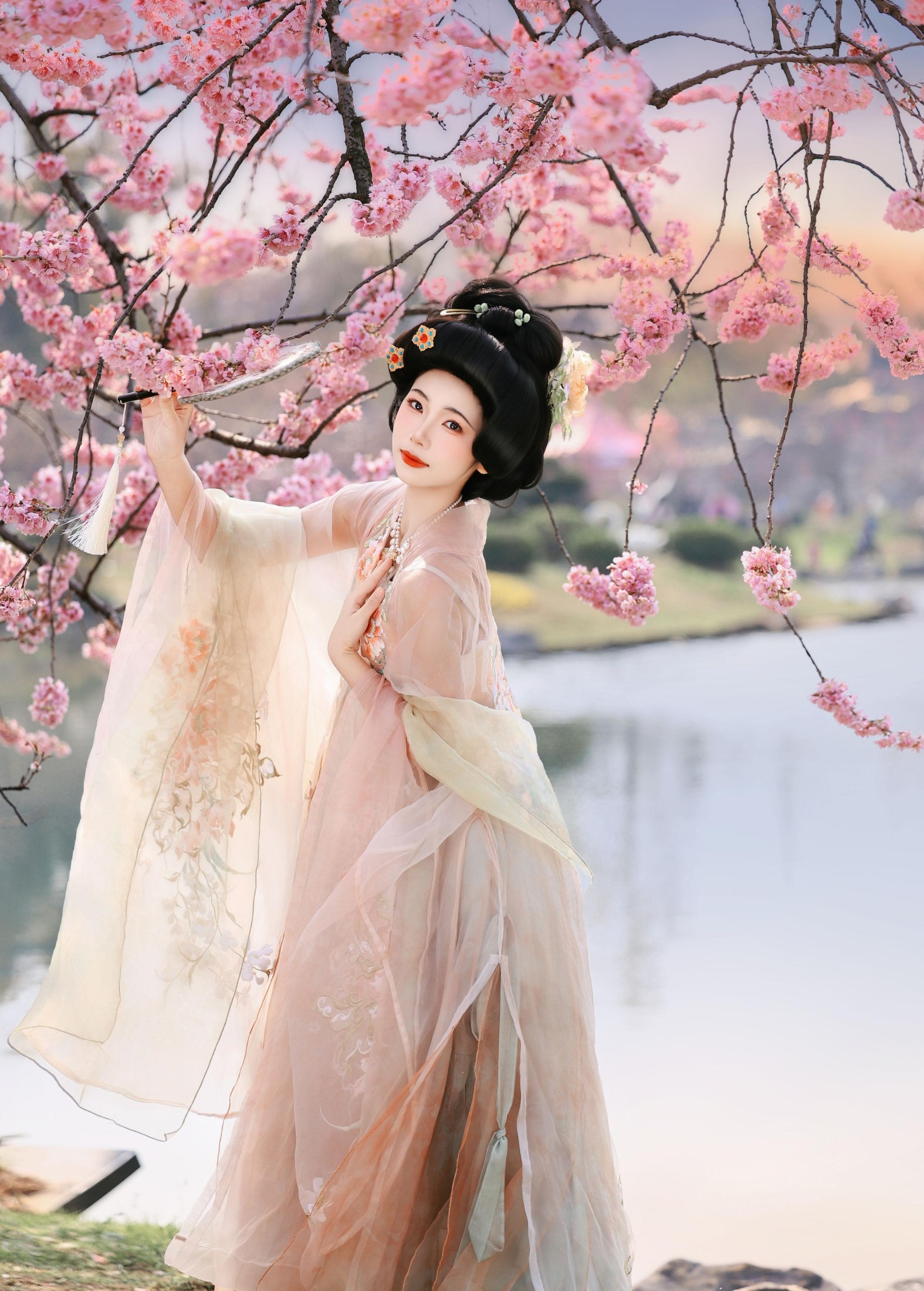 沸腾的米粥 – 《樱花梦》[23P]