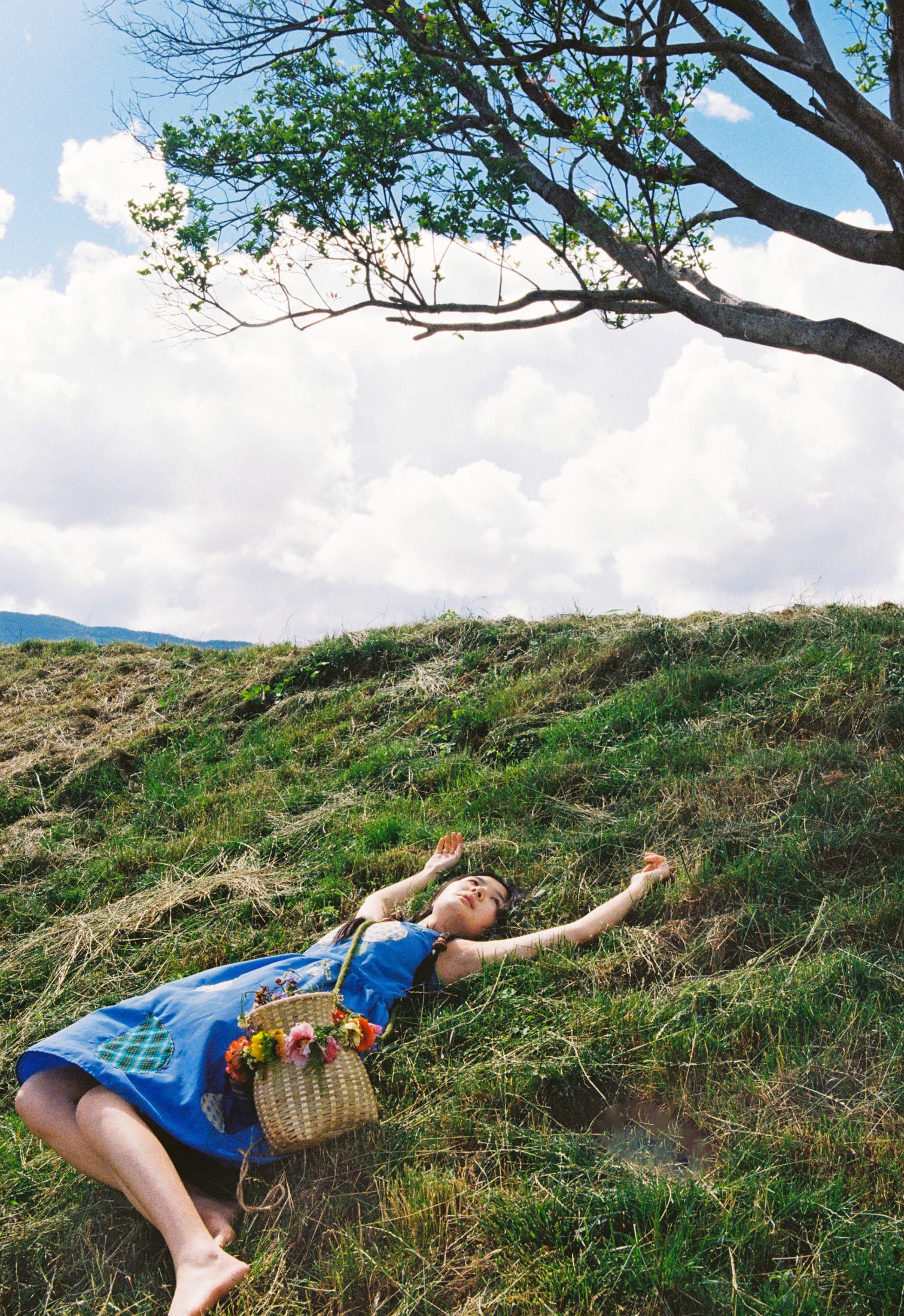 在长野晒月亮的油松 – 《自由的大地》[14P]