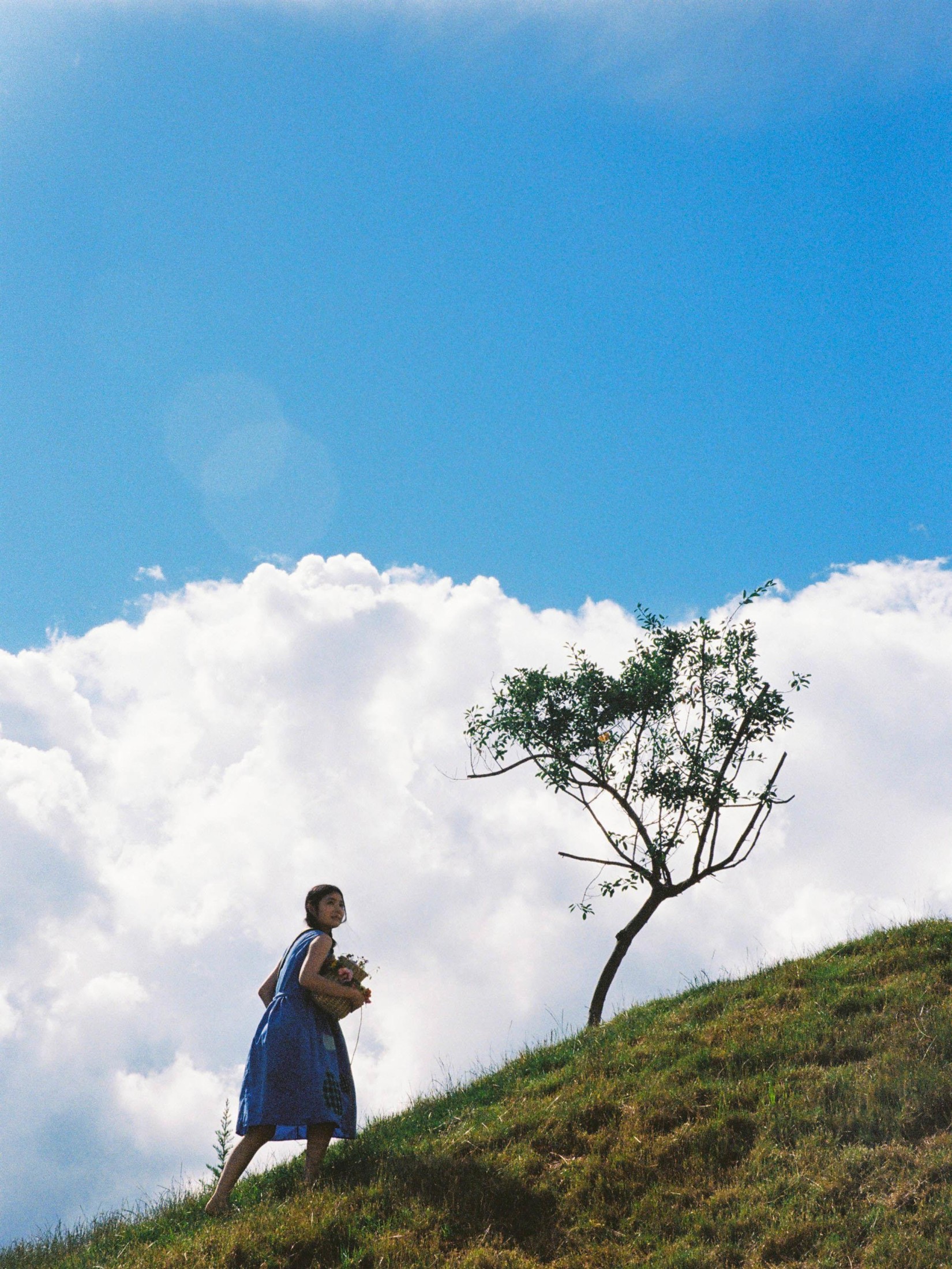 在长野晒月亮的油松 – 《自由的大地》[14P]