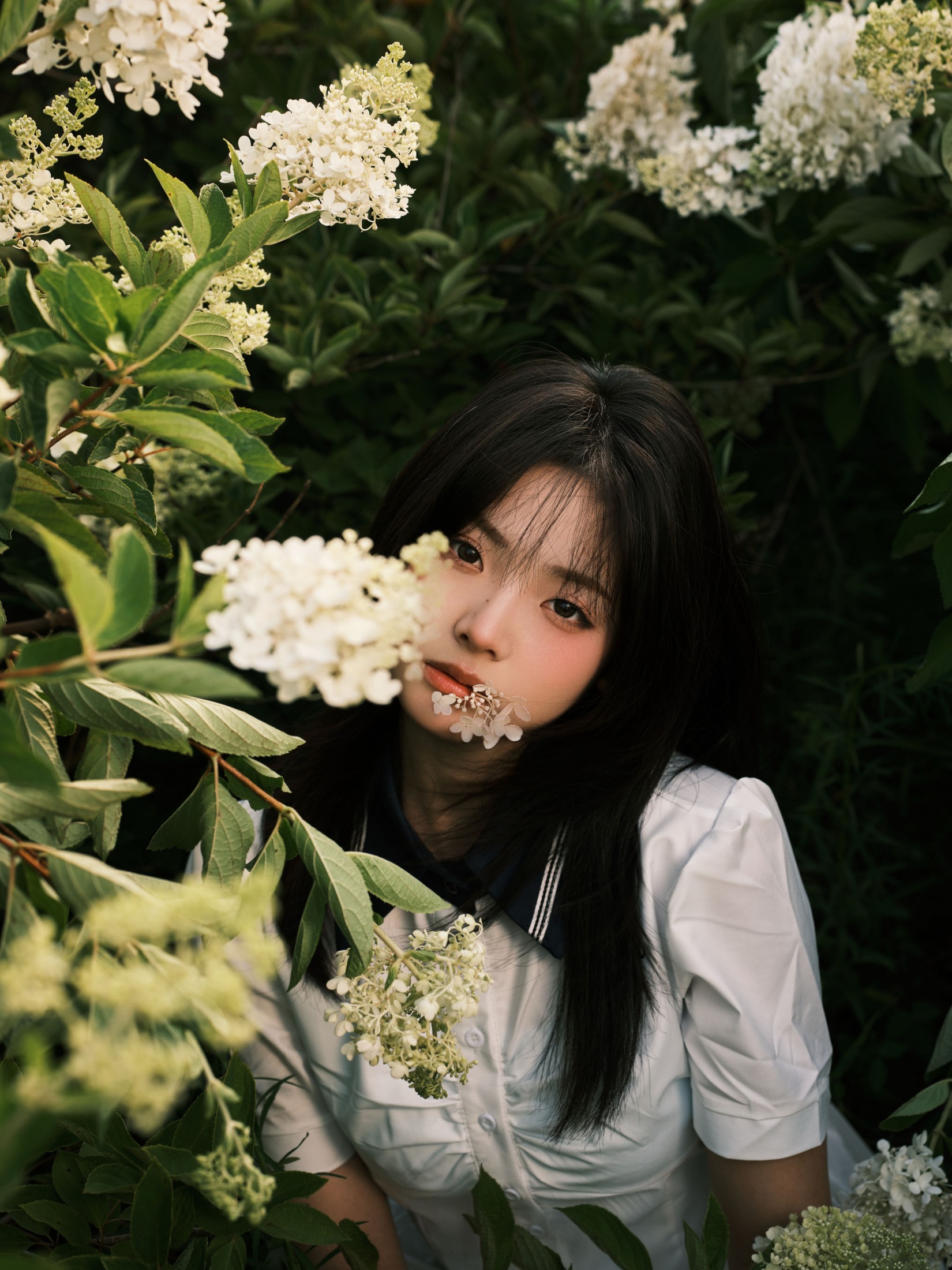 炸洋芋 – 《绣球花》[13P] 插图4