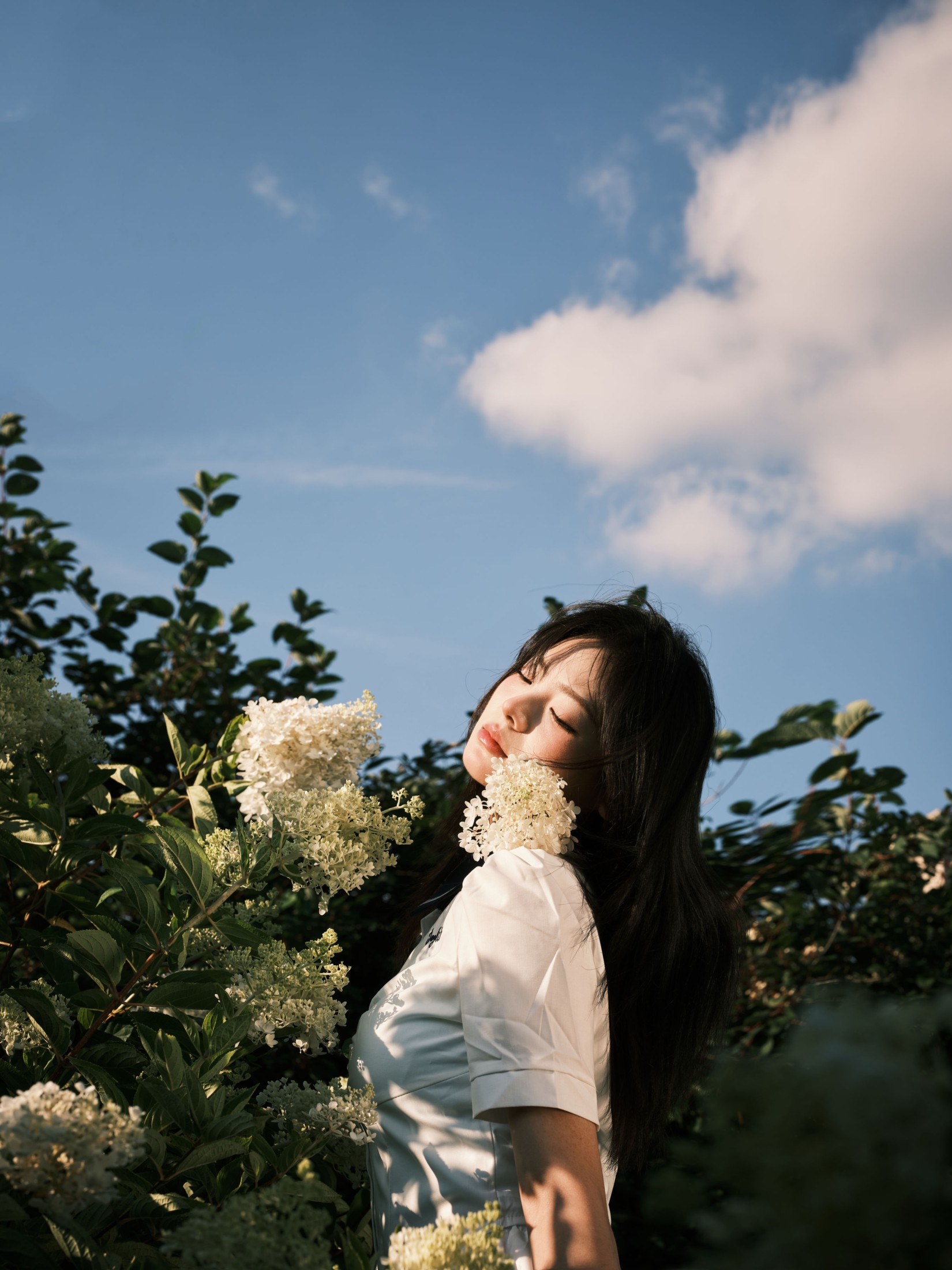 炸洋芋 – 《绣球花》[13P]