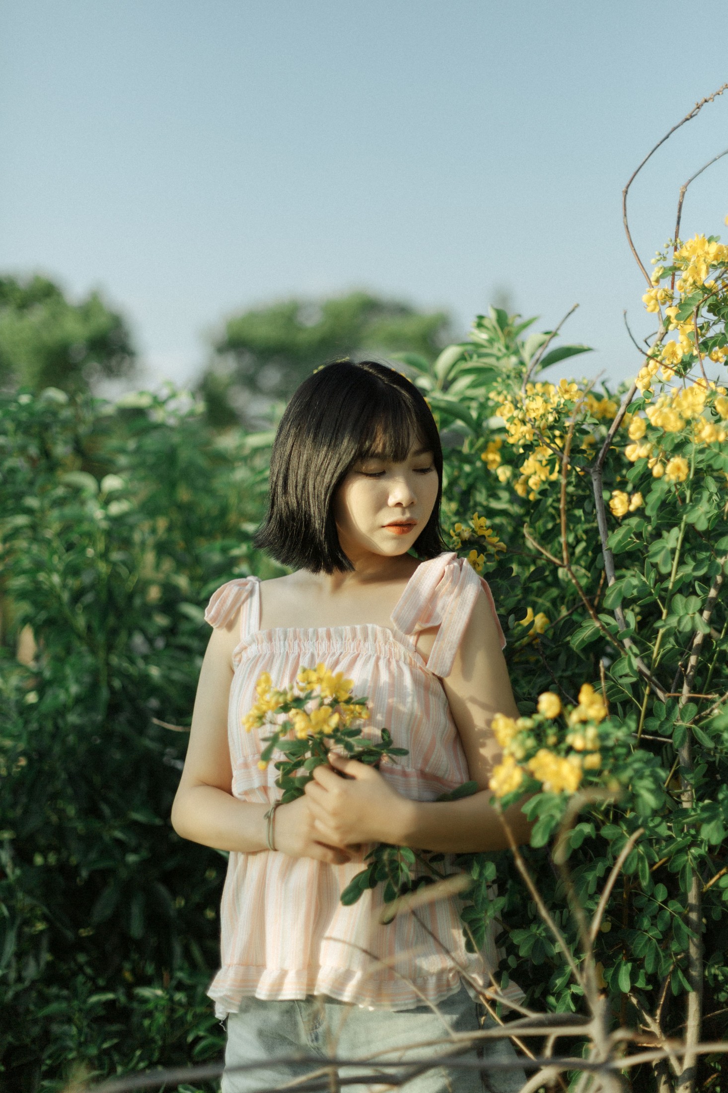 Y～ – 《风是自由的》[20P]