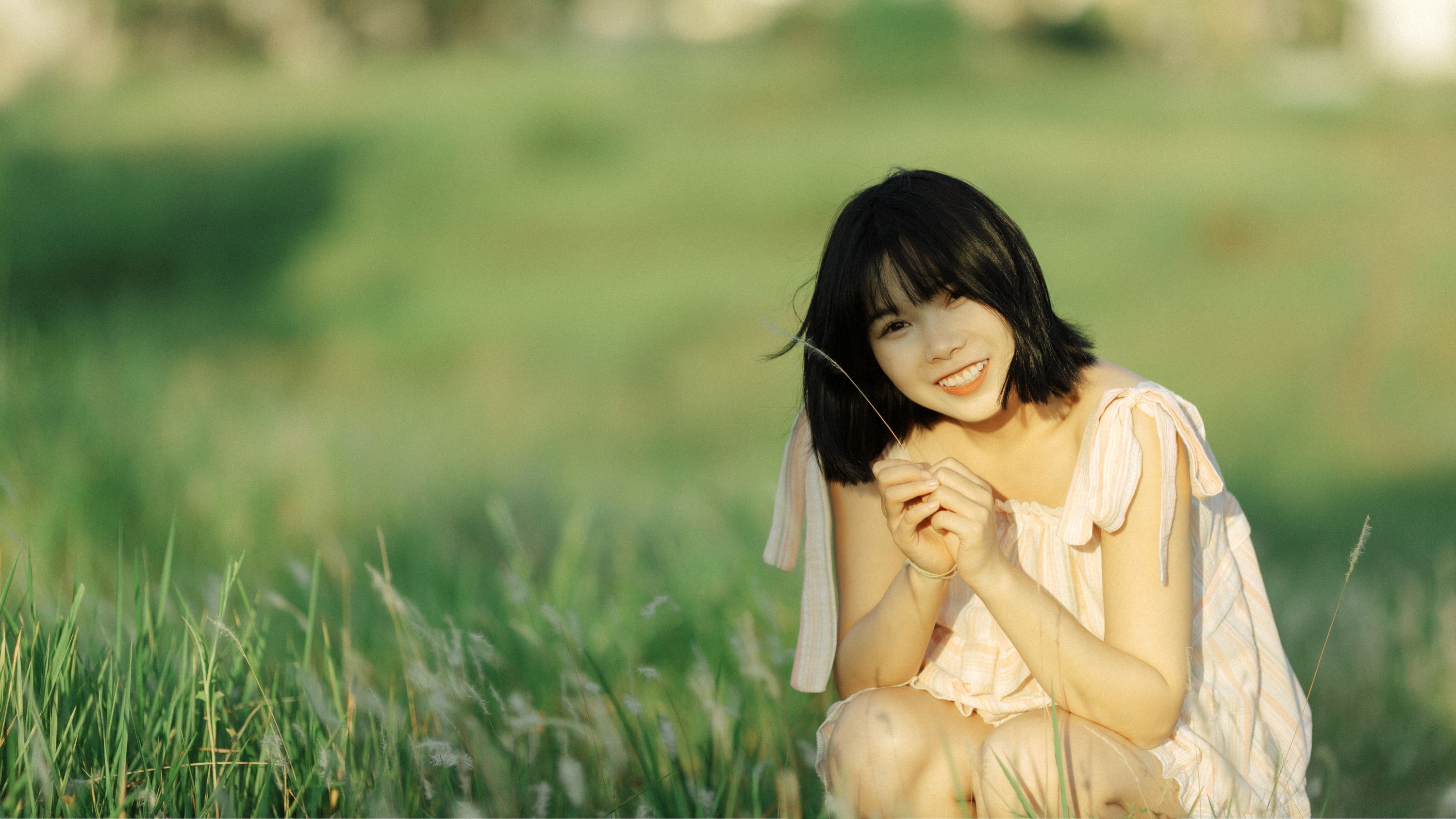 Y～ – 《风是自由的》[20P]