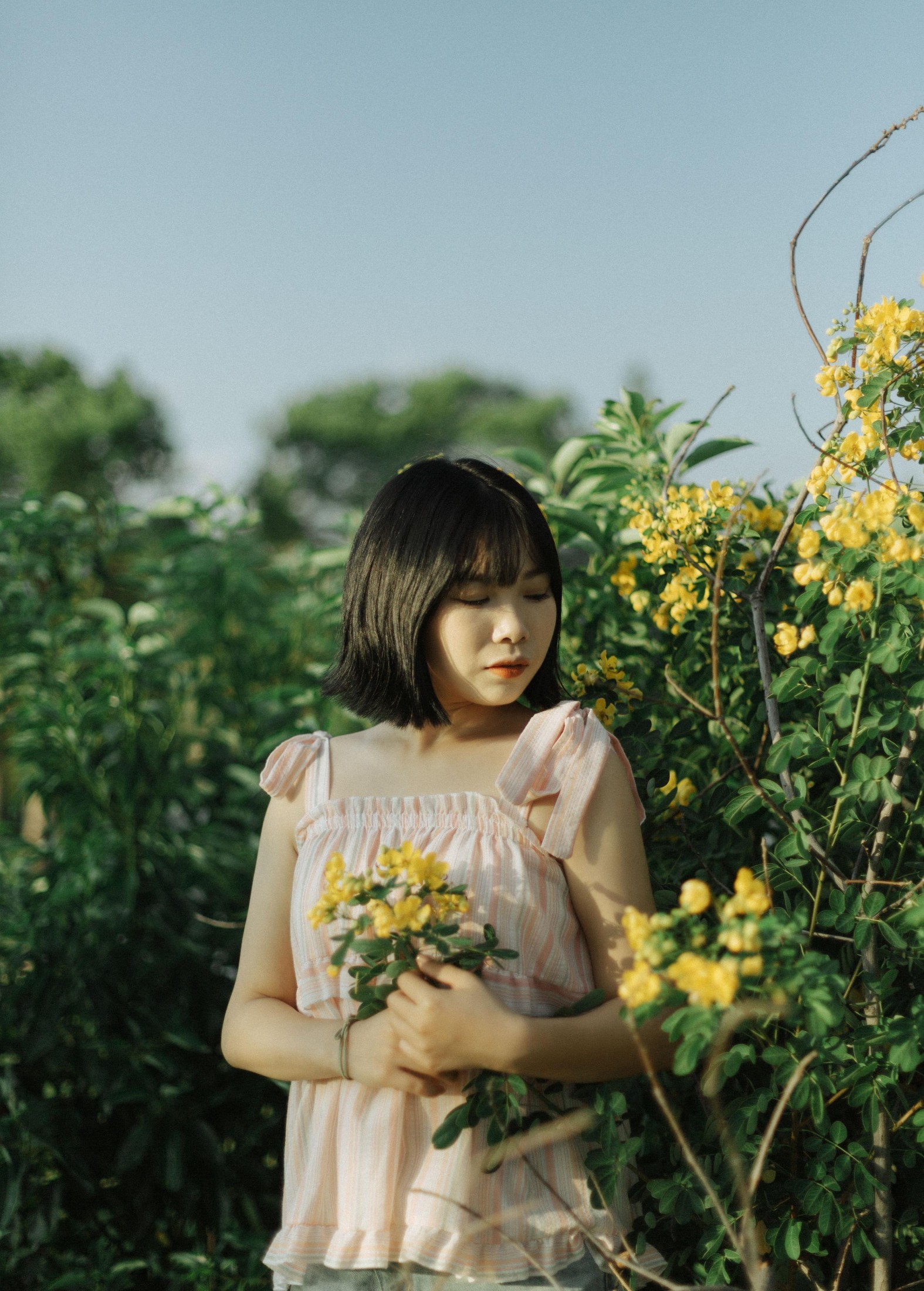 Y～ – 《风是自由的》[20P]