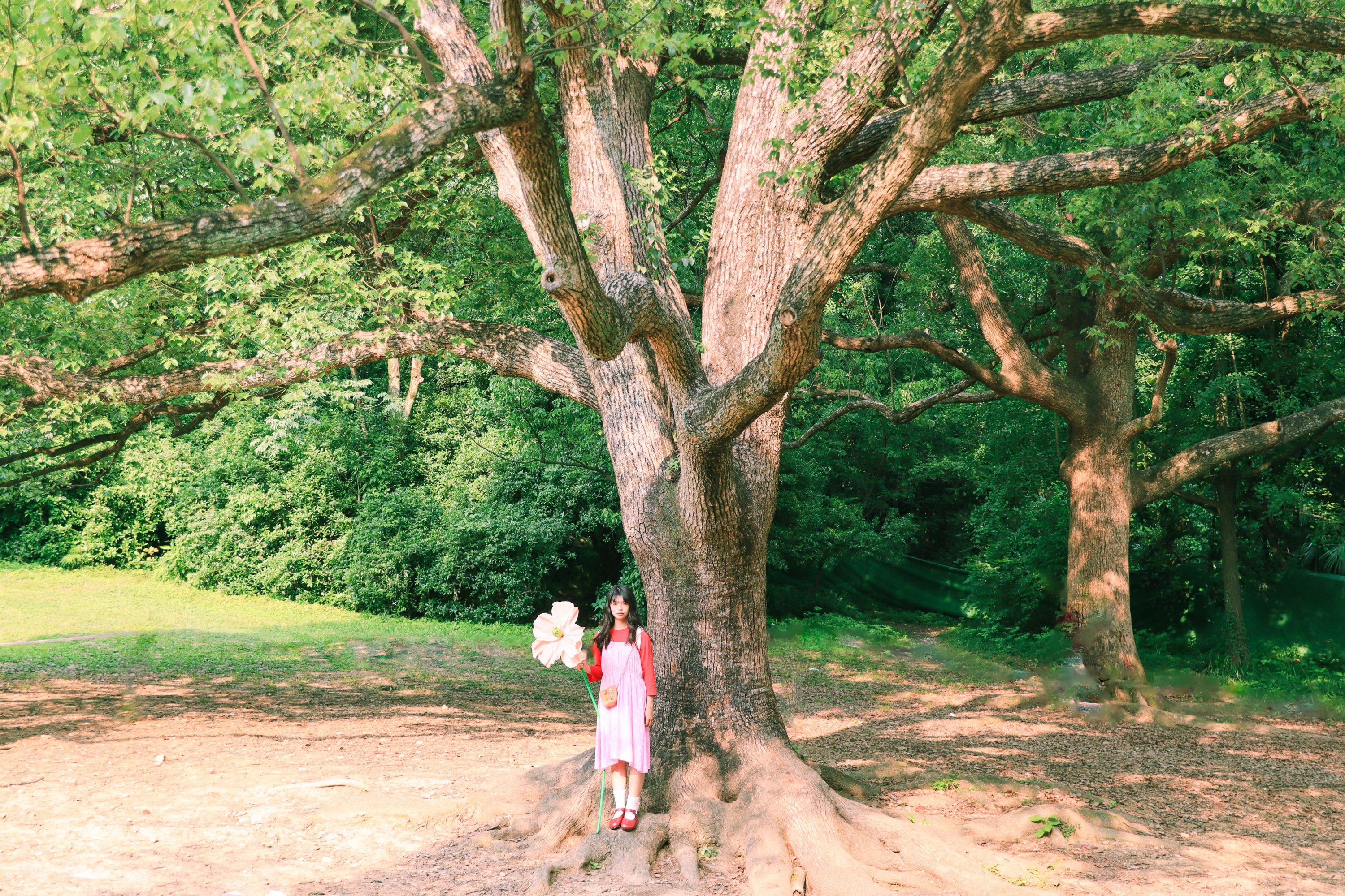 婠婍 – 《森林小精灵》[17P]