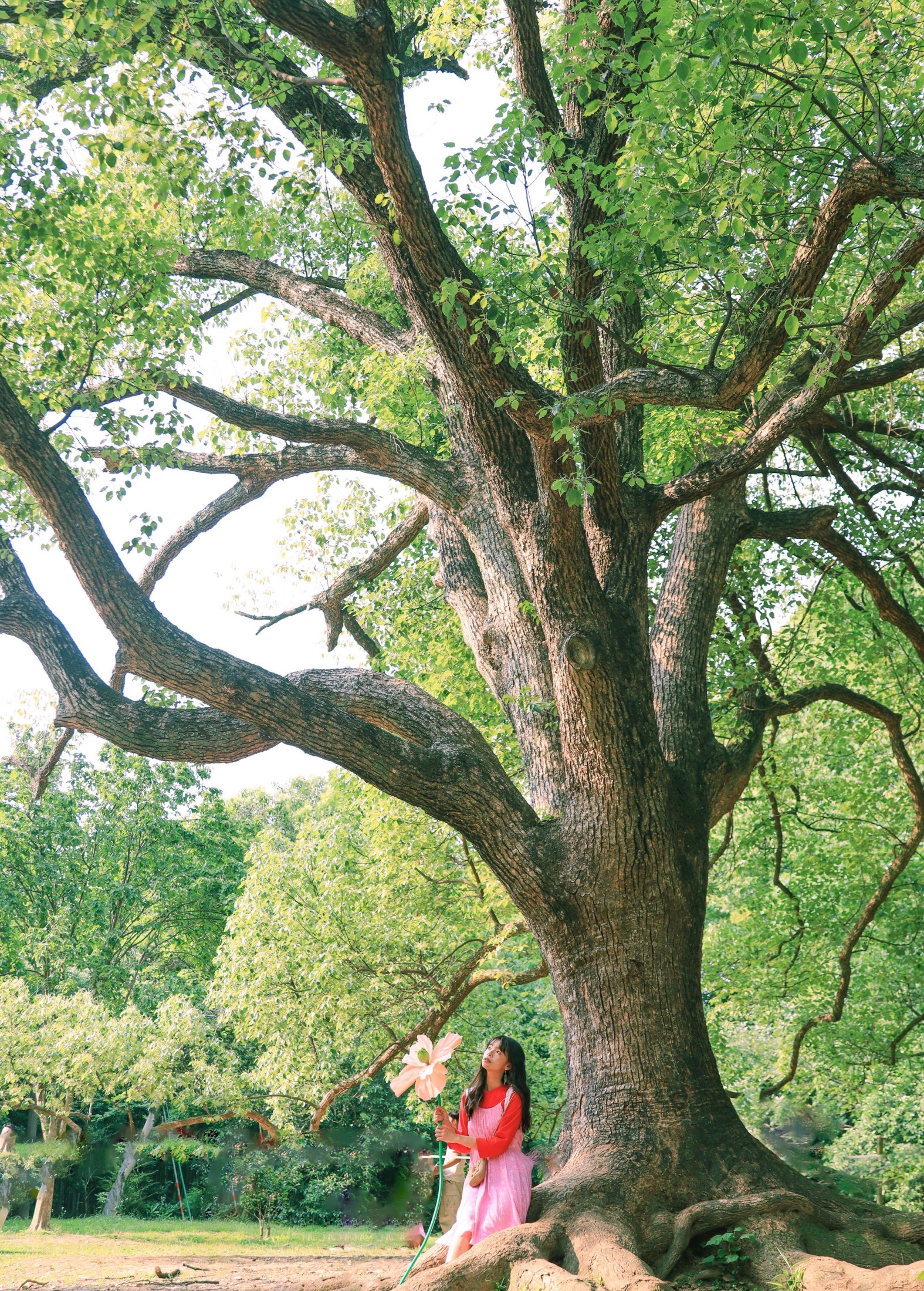 婠婍 – 《森林小精灵》[17P]