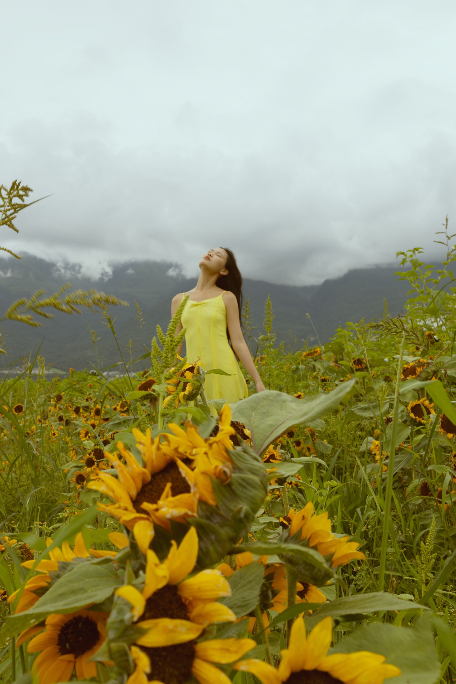 兔子 – 《我与大理｜花海》[14P]