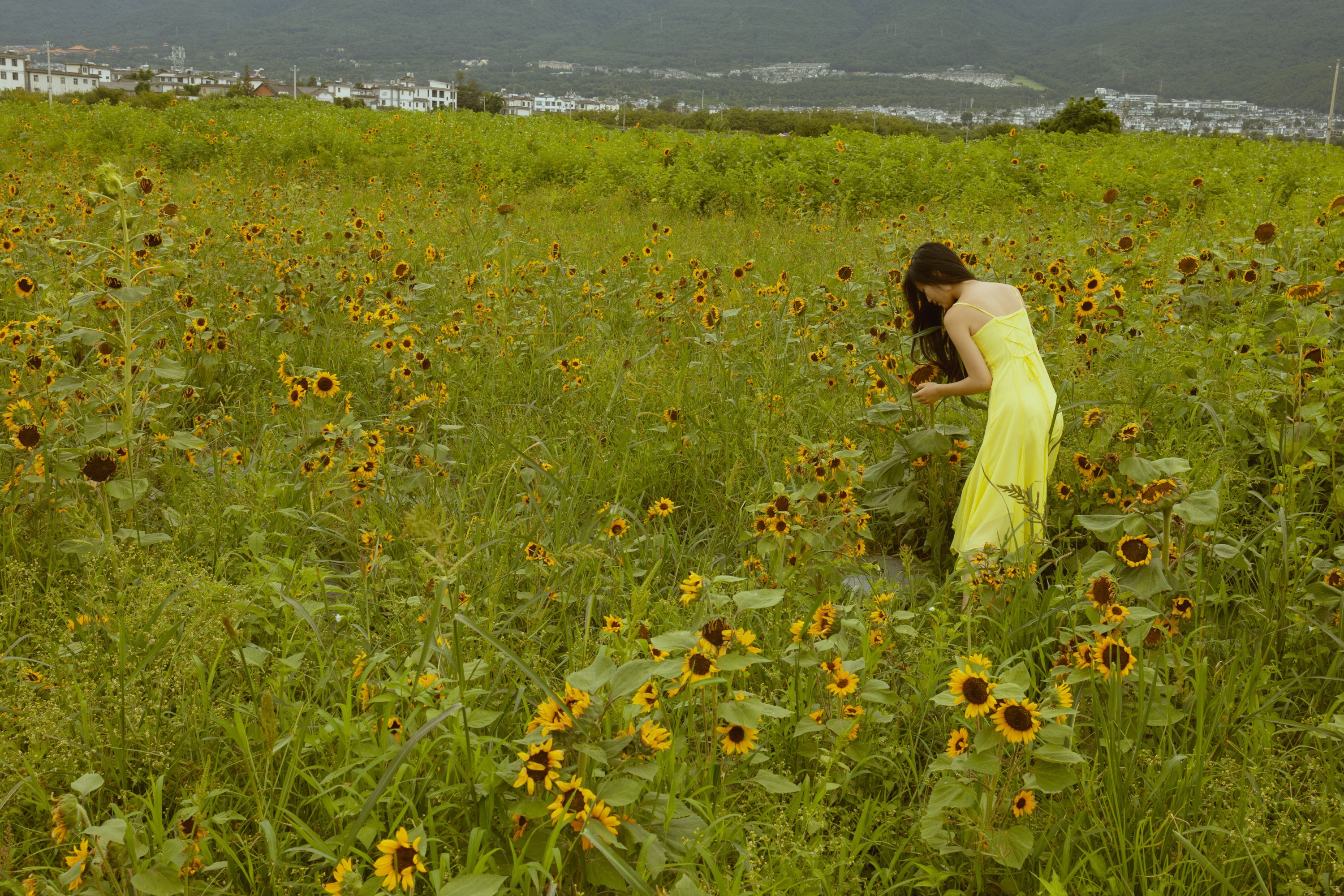 兔子 – 《我与大理｜花海》[14P] 插图3