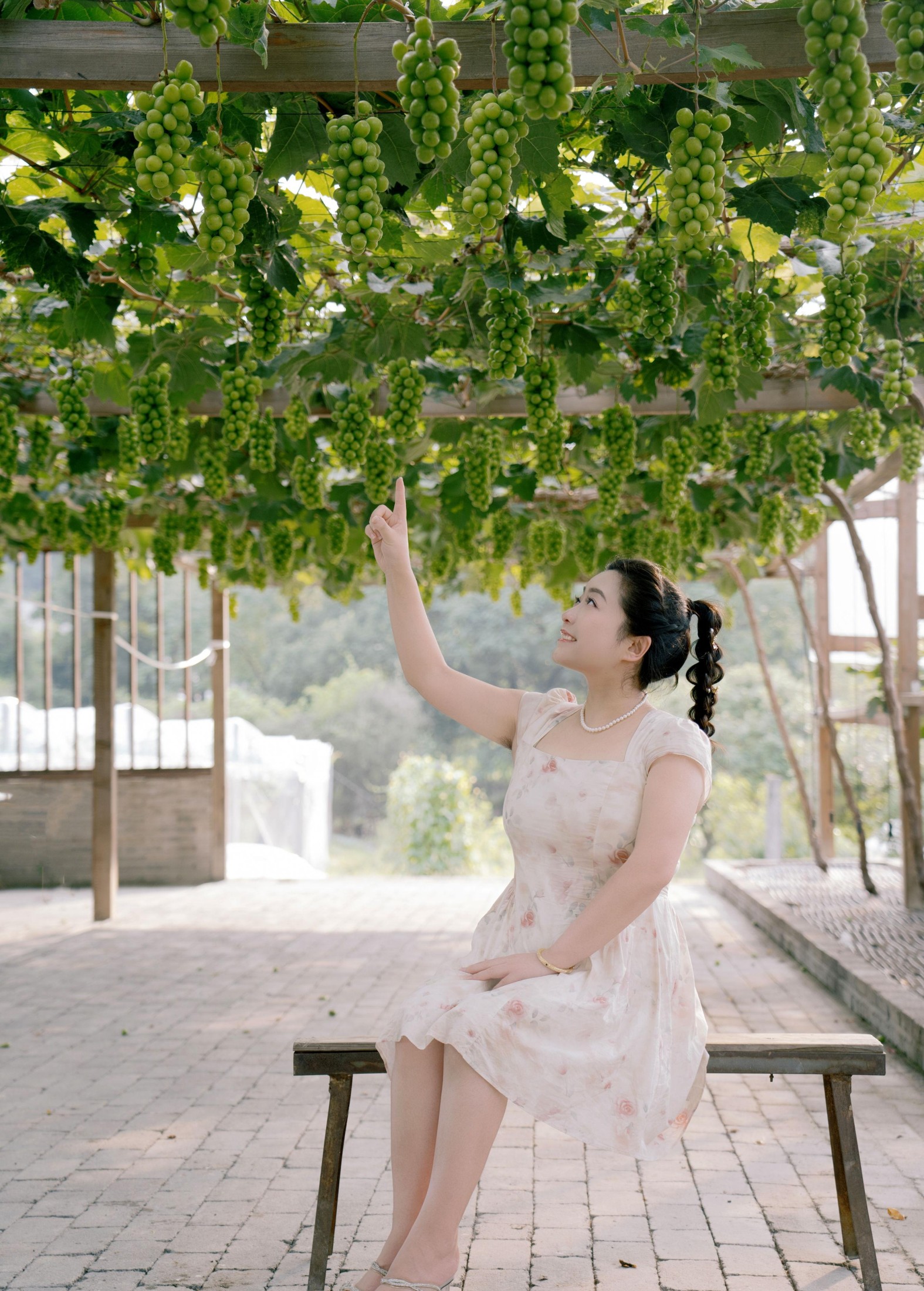 菌菌 – 《青提之夏》[16P]