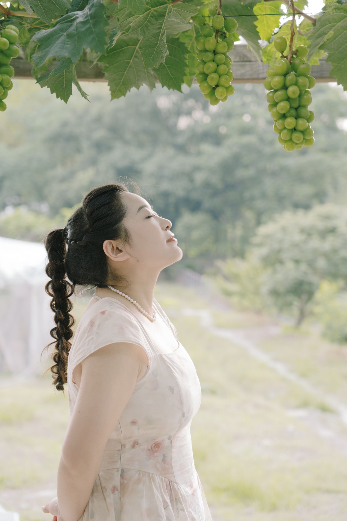 菌菌 – 《青提之夏》[16P]