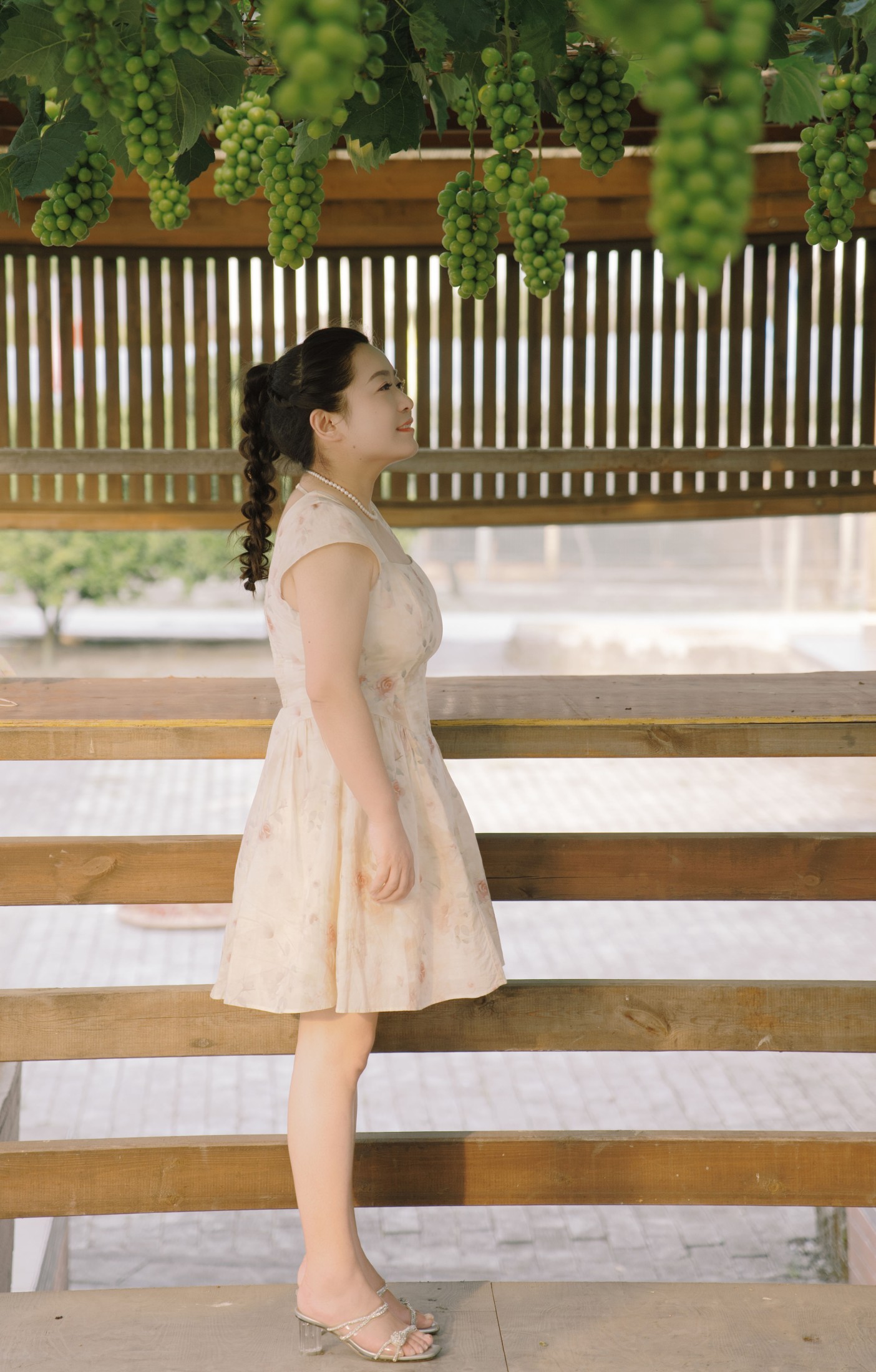 菌菌 – 《青提之夏》[16P]