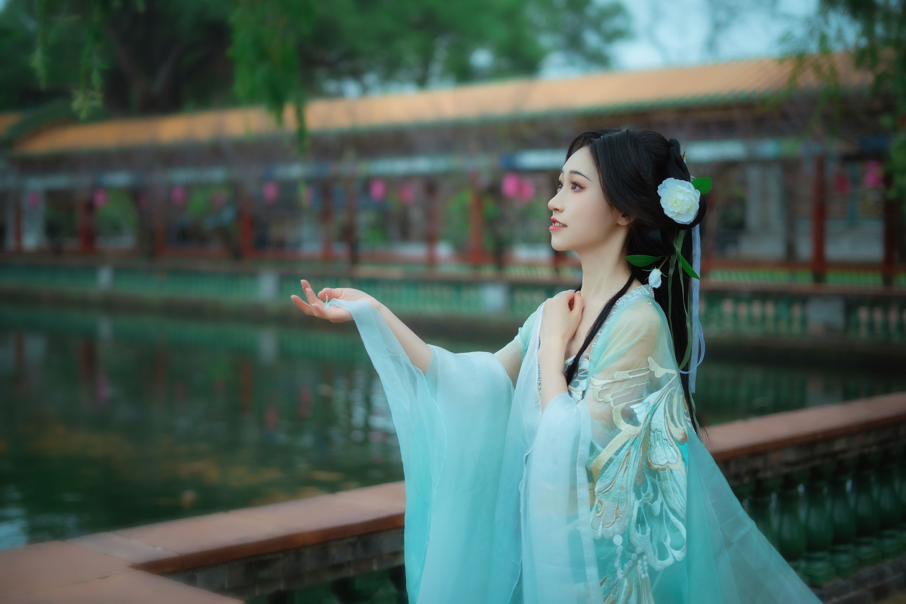 十七 – 《柳如烟》[15P]