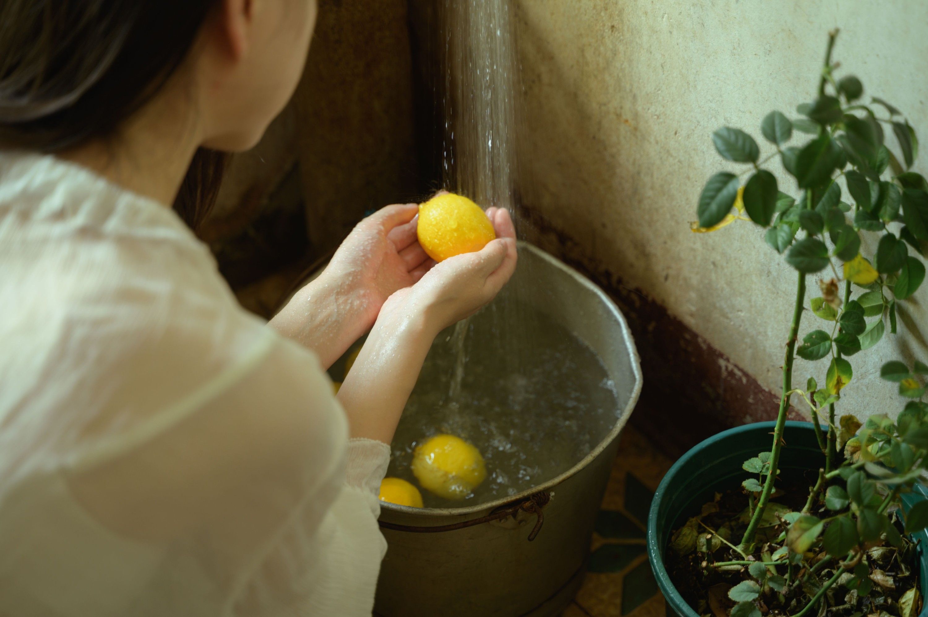 阿梦的虎牙 – 《夏天的尾巴》[35P]