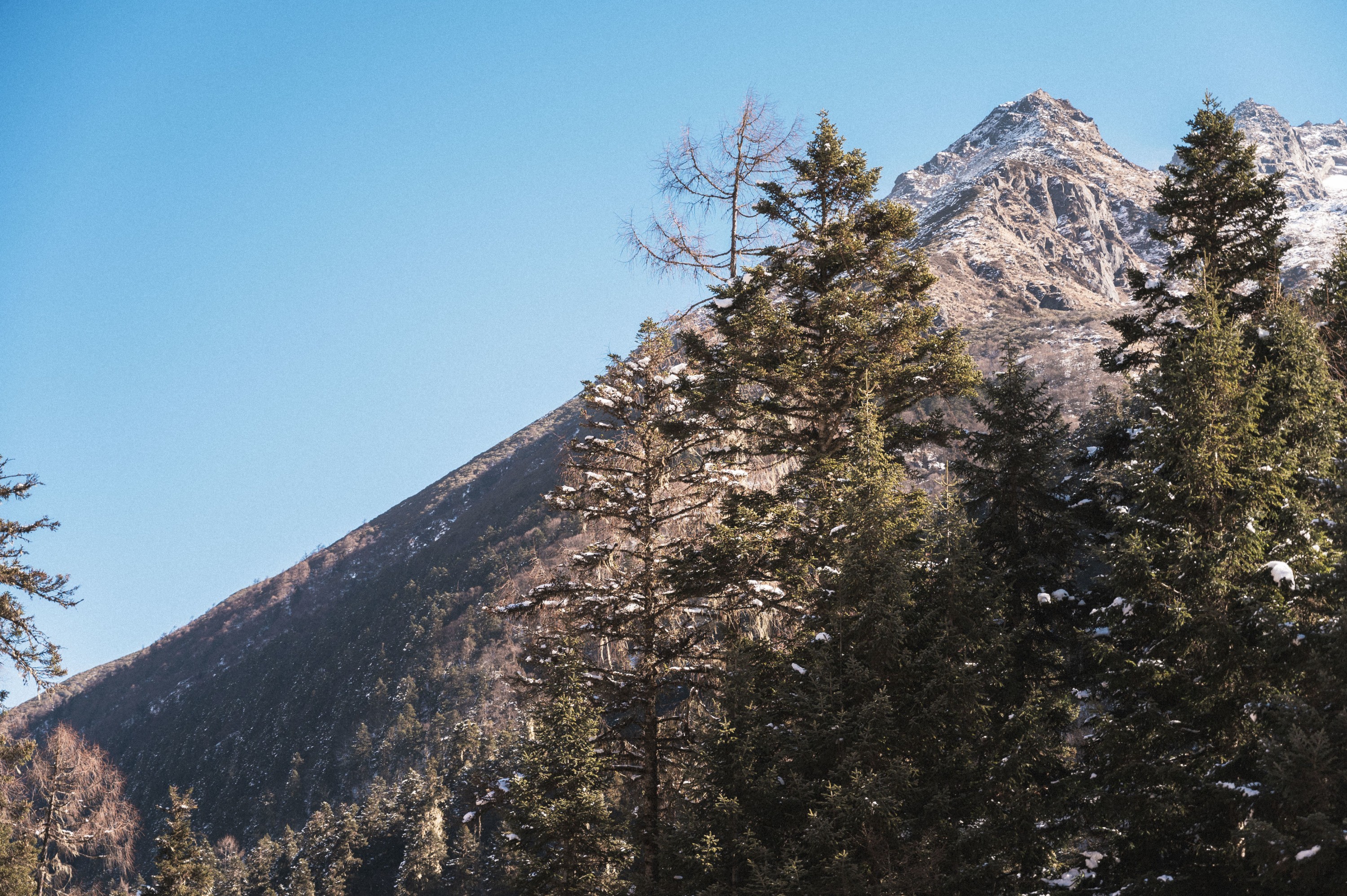 阿喵的饭饭 – 《赴一场约》[25P]