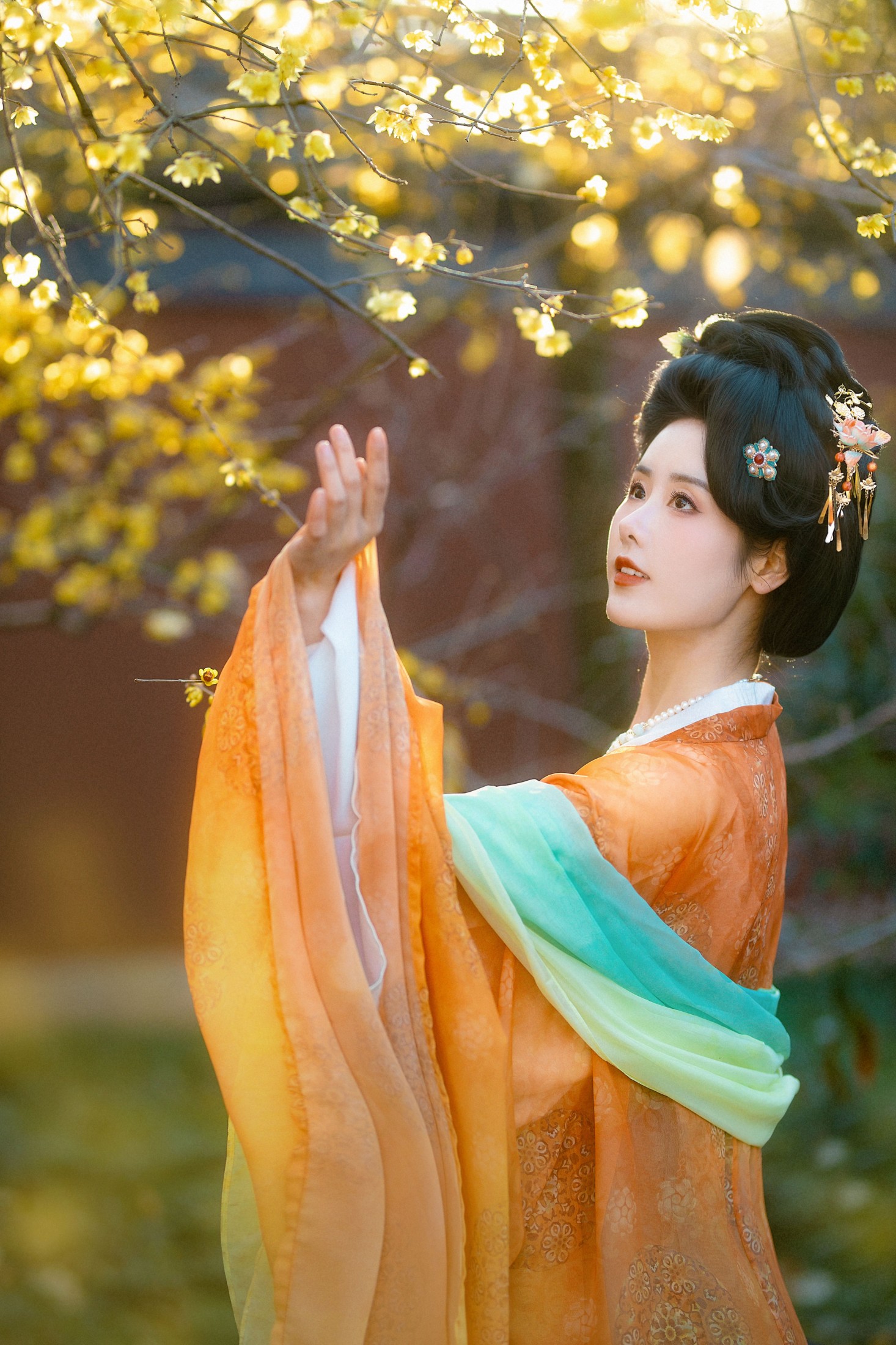 人间月-素尘 – 《钱王祠腊梅》[14P]