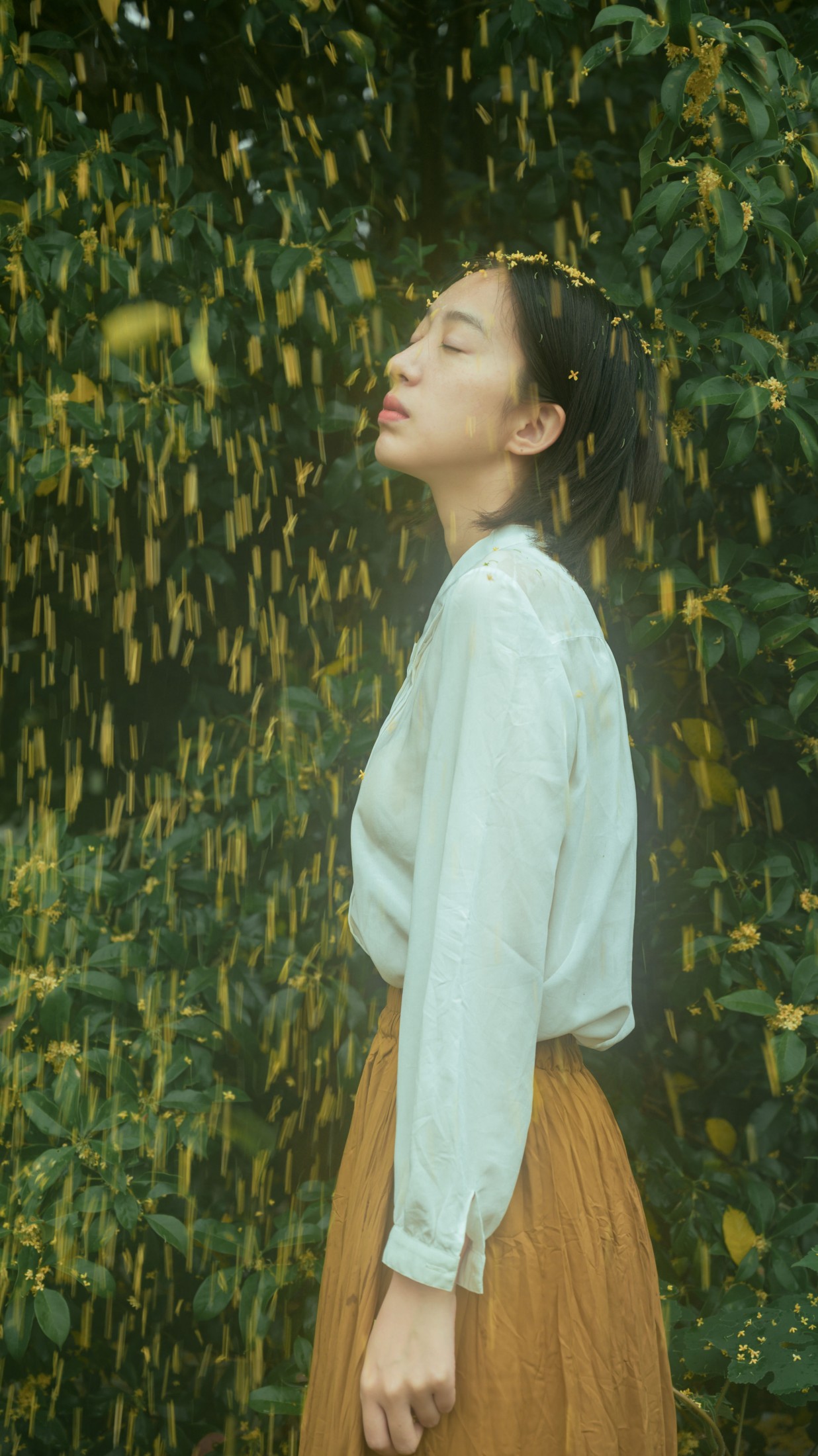 子芸 – 《麦田晨雾》[26P]