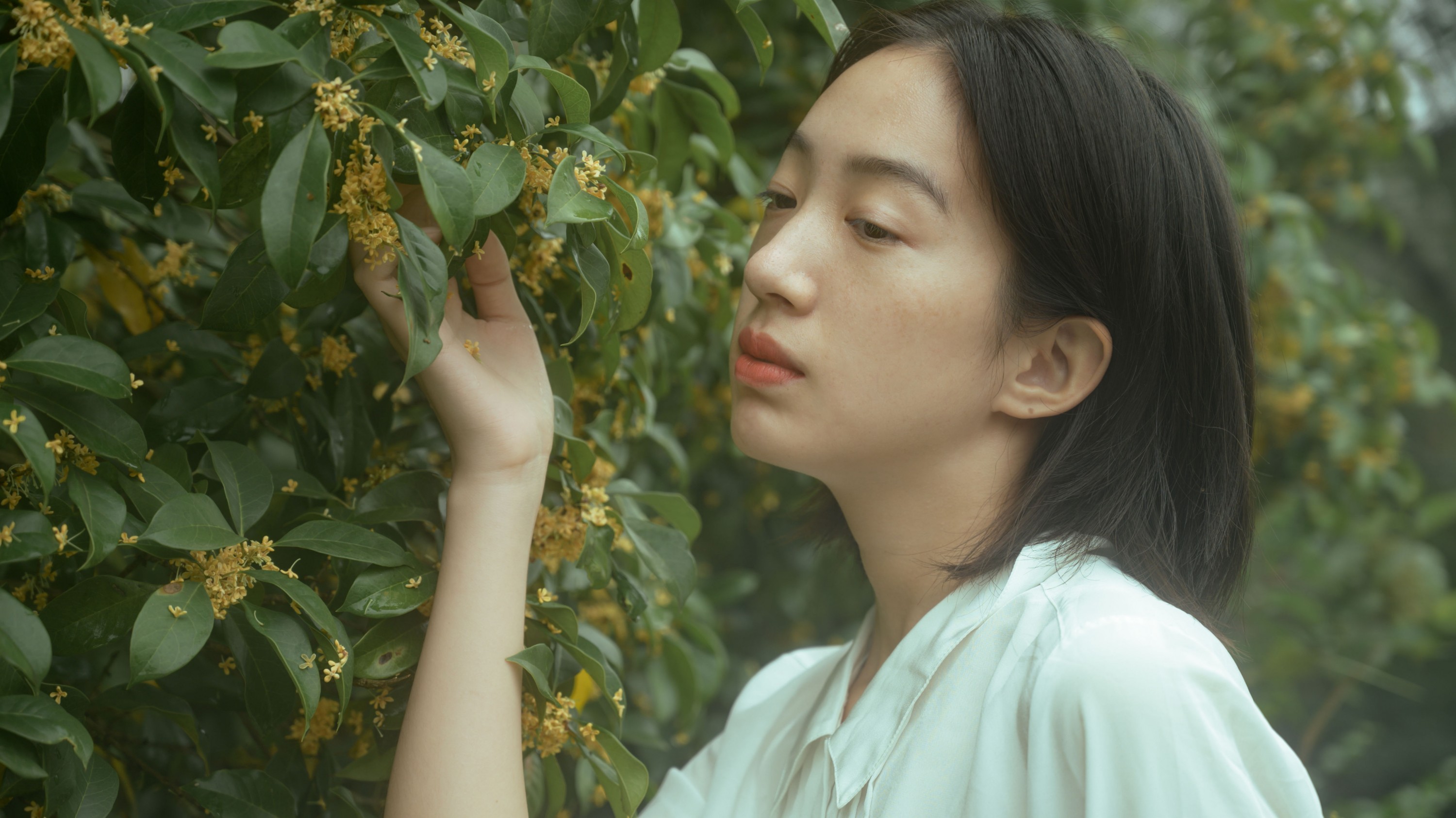 子芸 – 《麦田晨雾》[26P]