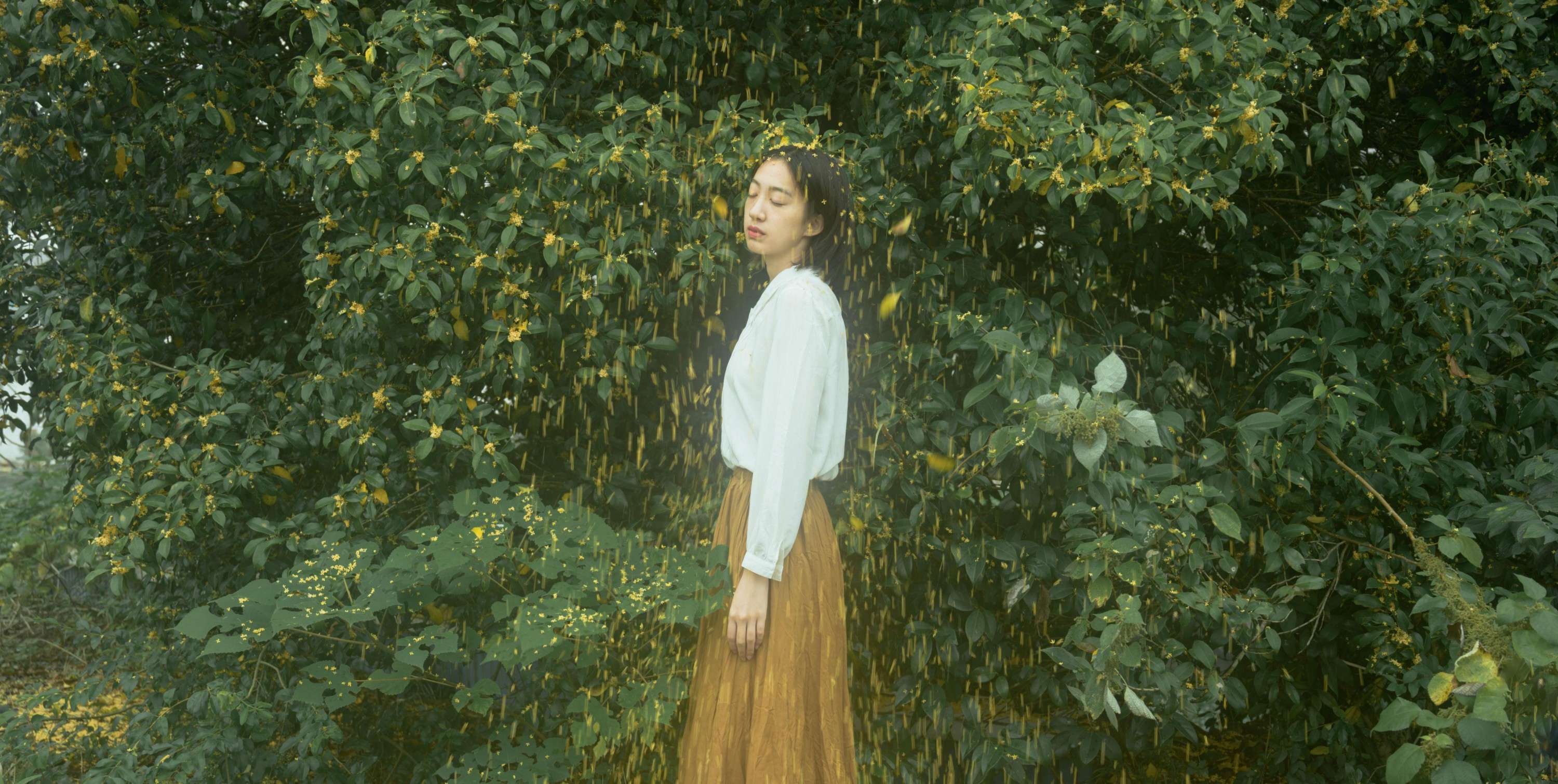 子芸 – 《麦田晨雾》[26P]