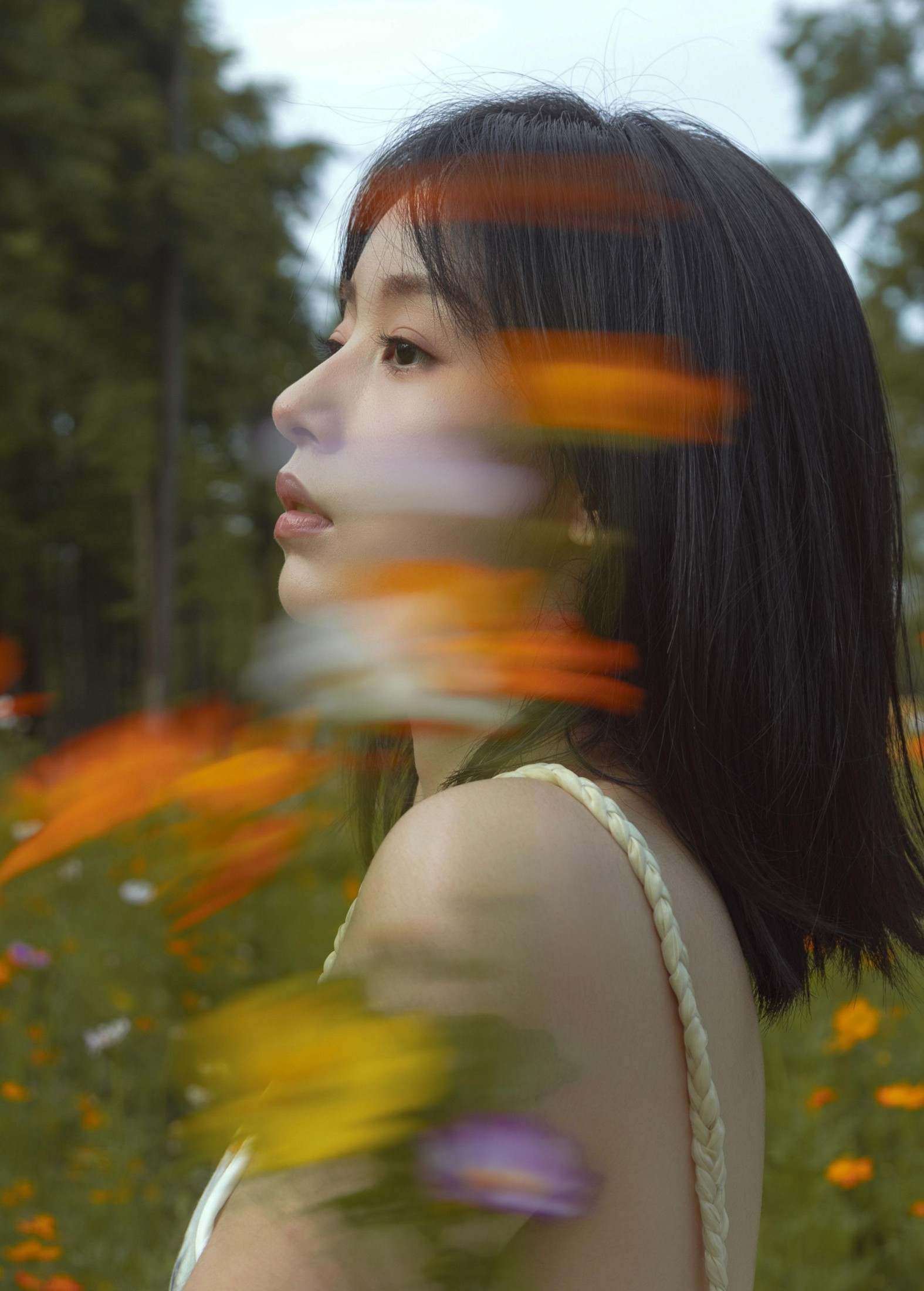 ahs – 《如花在野》[13P]