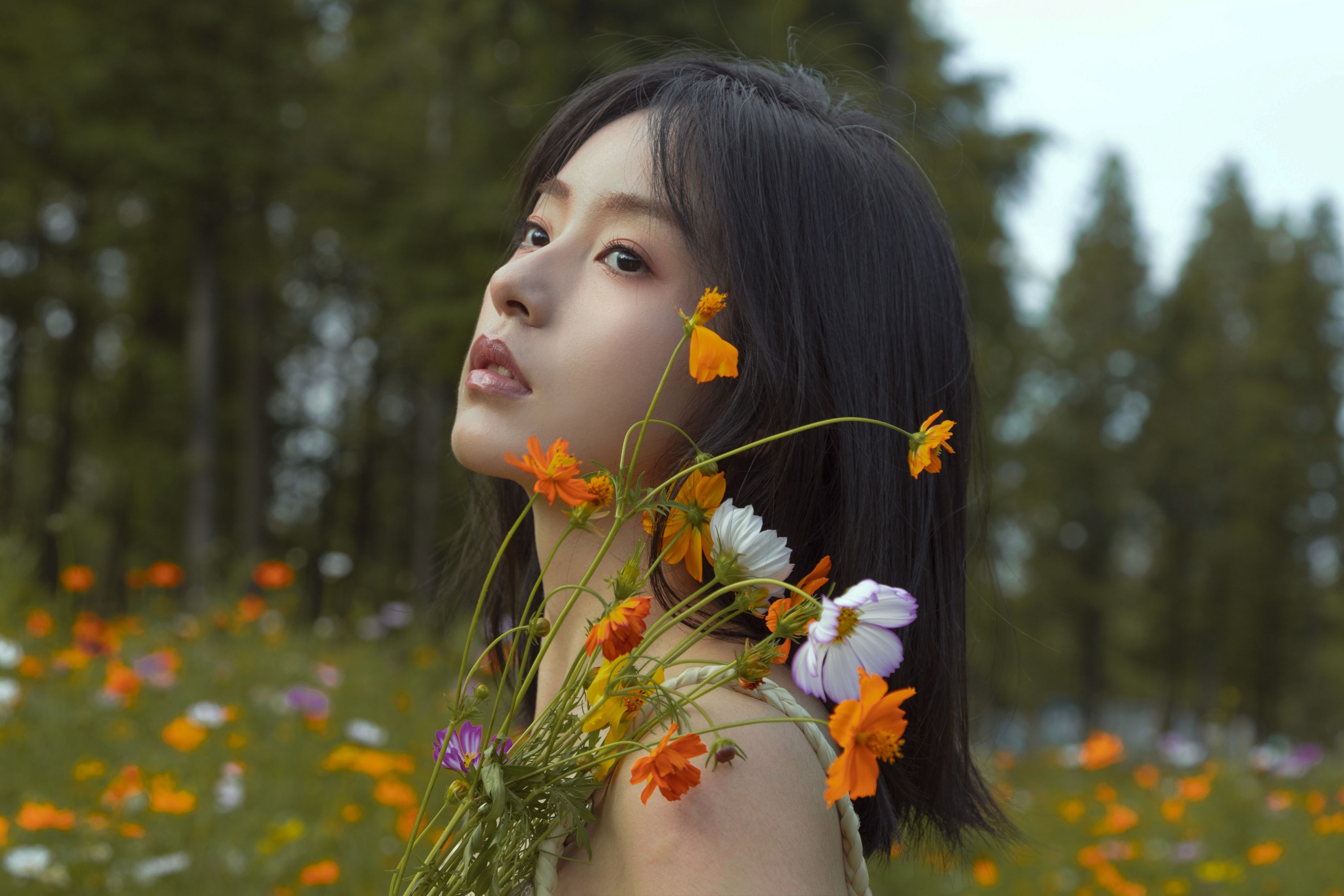 ahs – 《如花在野》[13P]