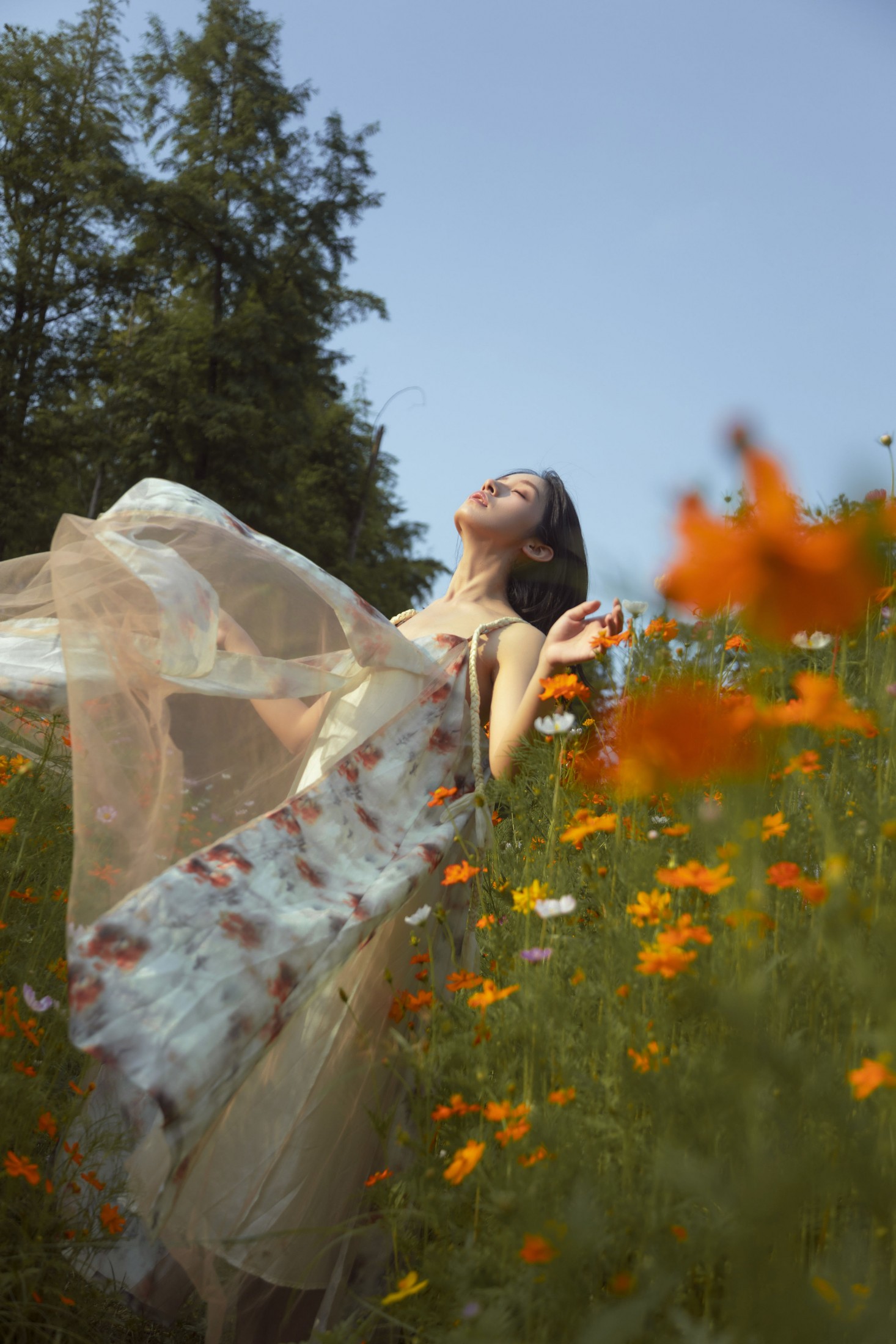 ahs – 《如花在野》[13P]