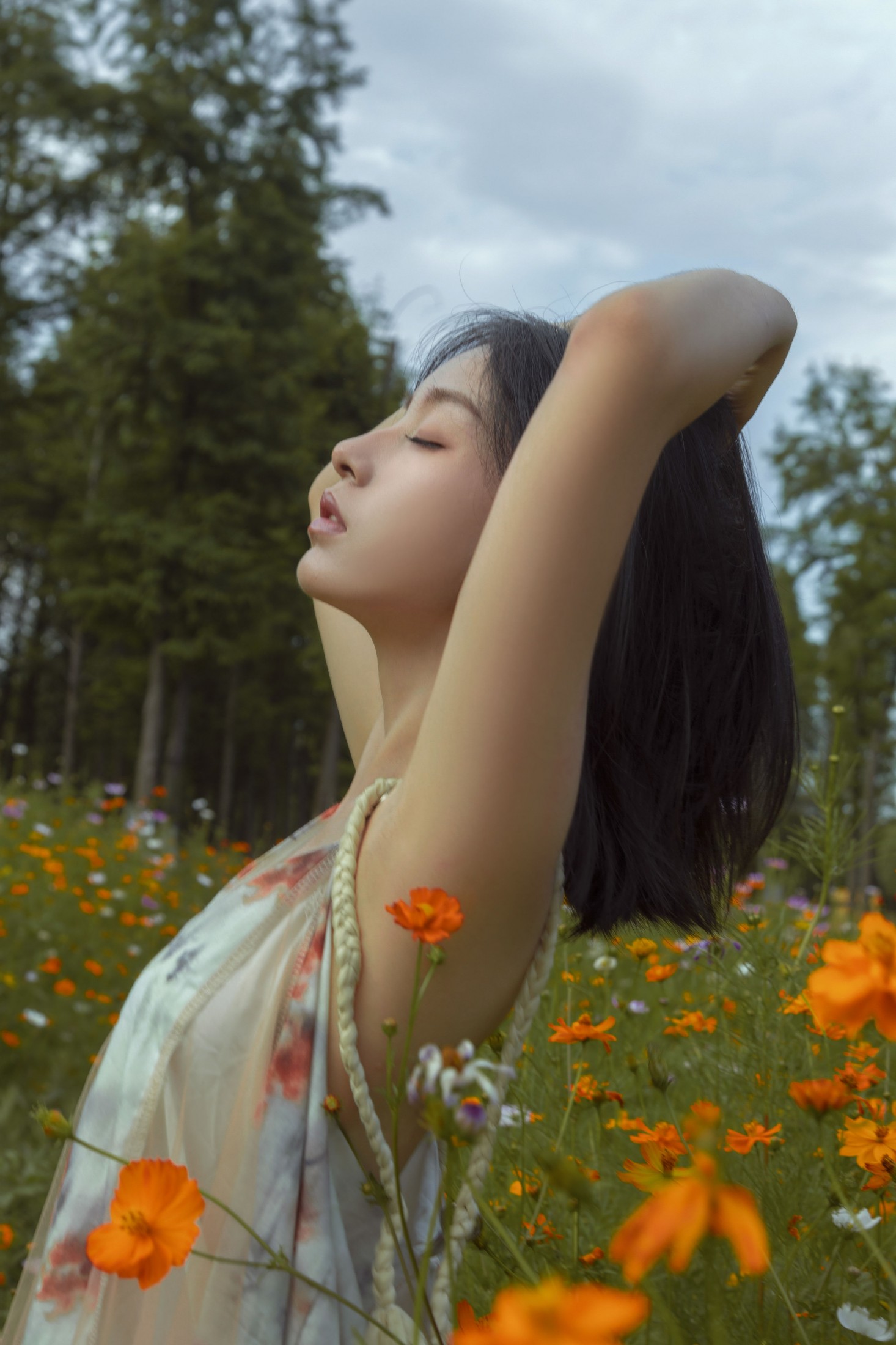 ahs – 《如花在野》[13P]