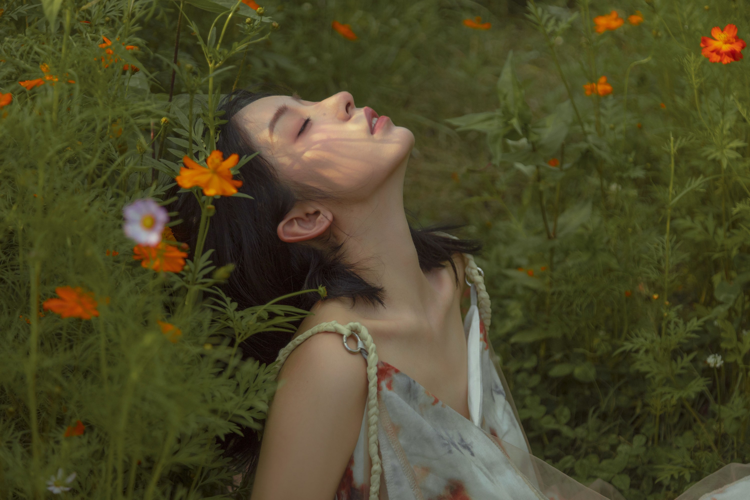 ahs – 《如花在野》[13P]