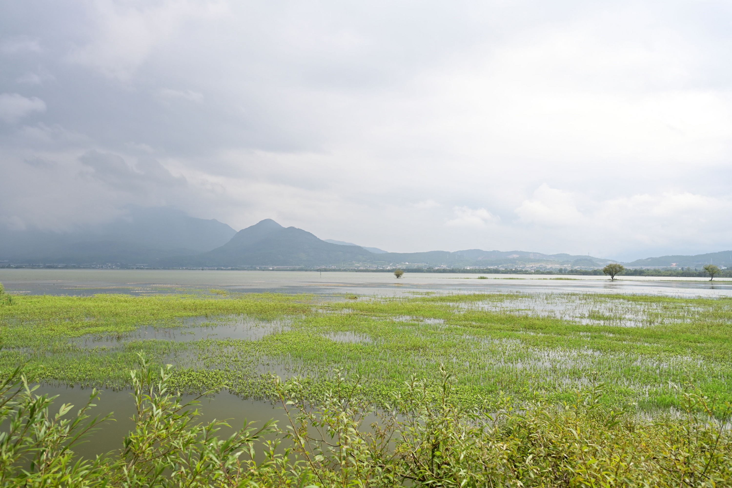 – 《拉市海湿地公园》[13P]