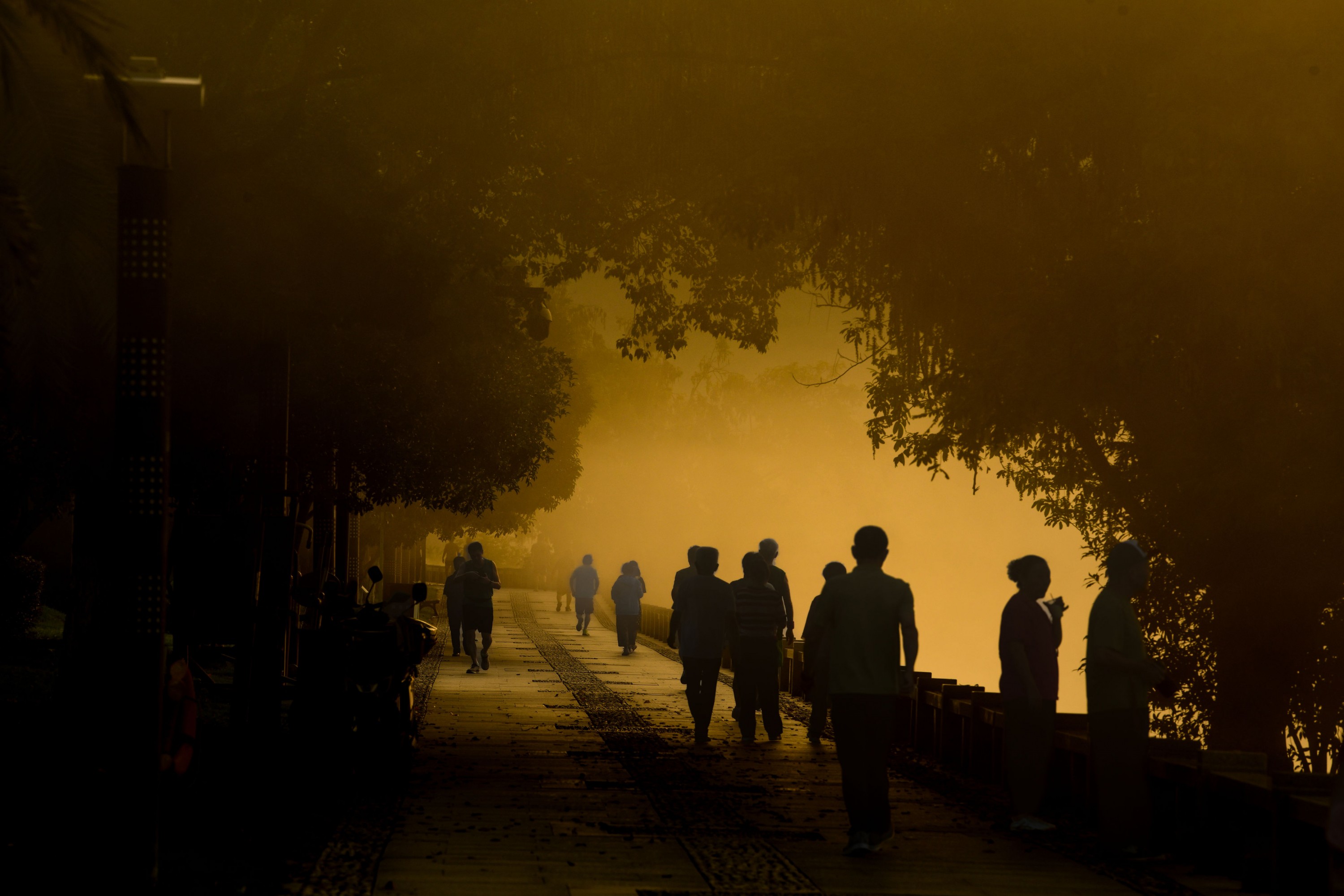 – 《新安江浪漫晨雾》[16P]