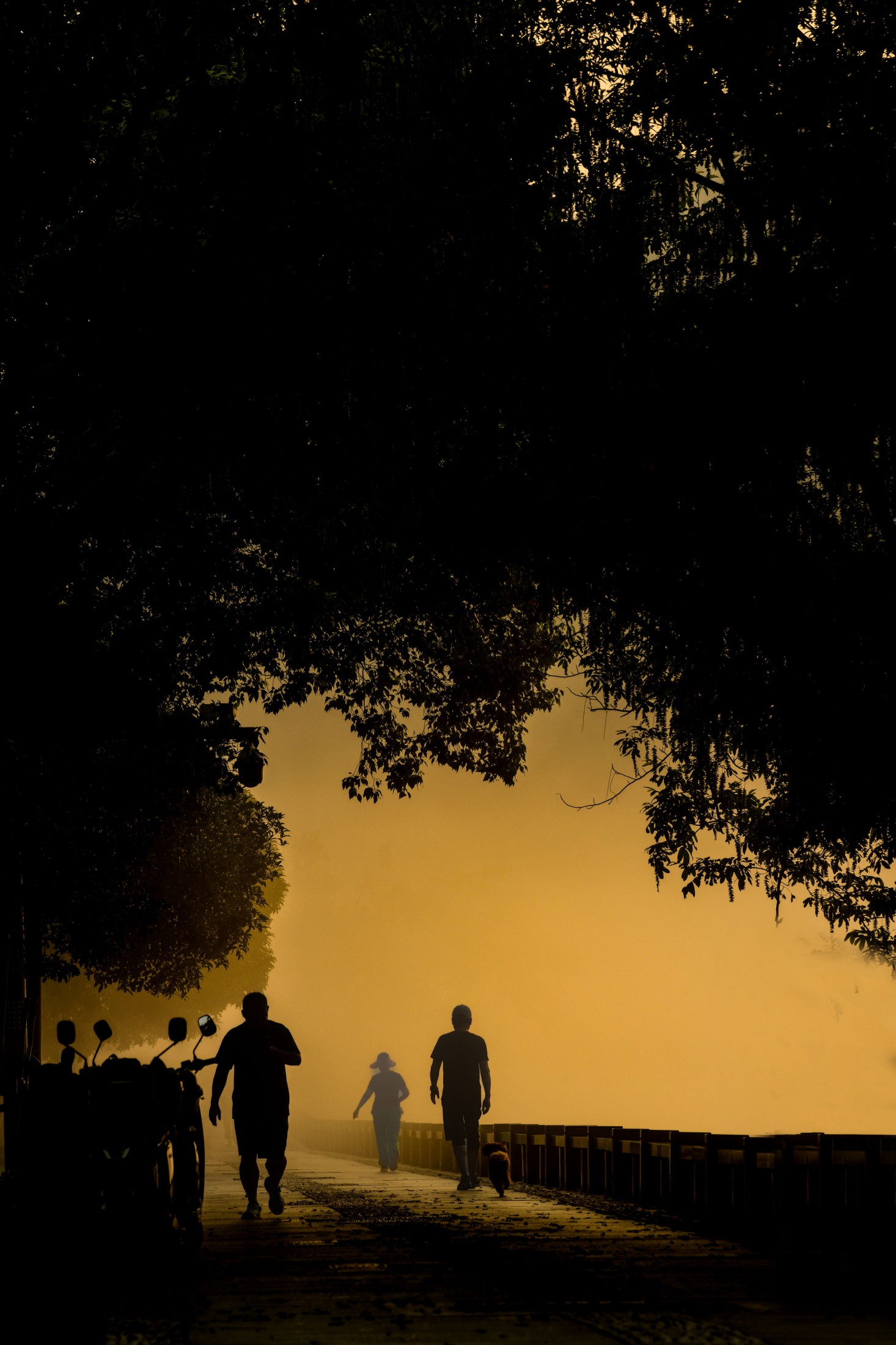 – 《新安江浪漫晨雾》[16P]