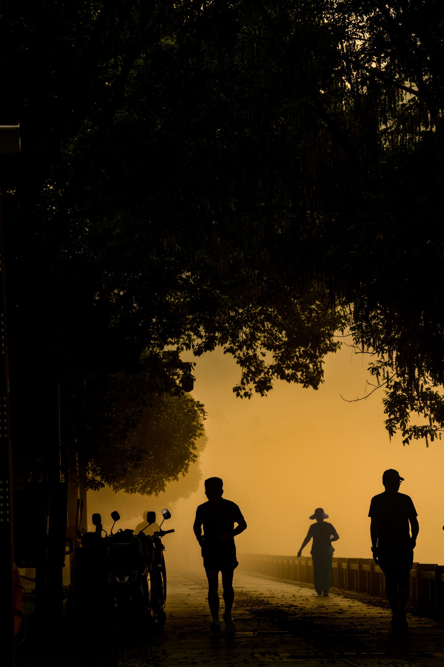 – 《新安江浪漫晨雾》[16P]