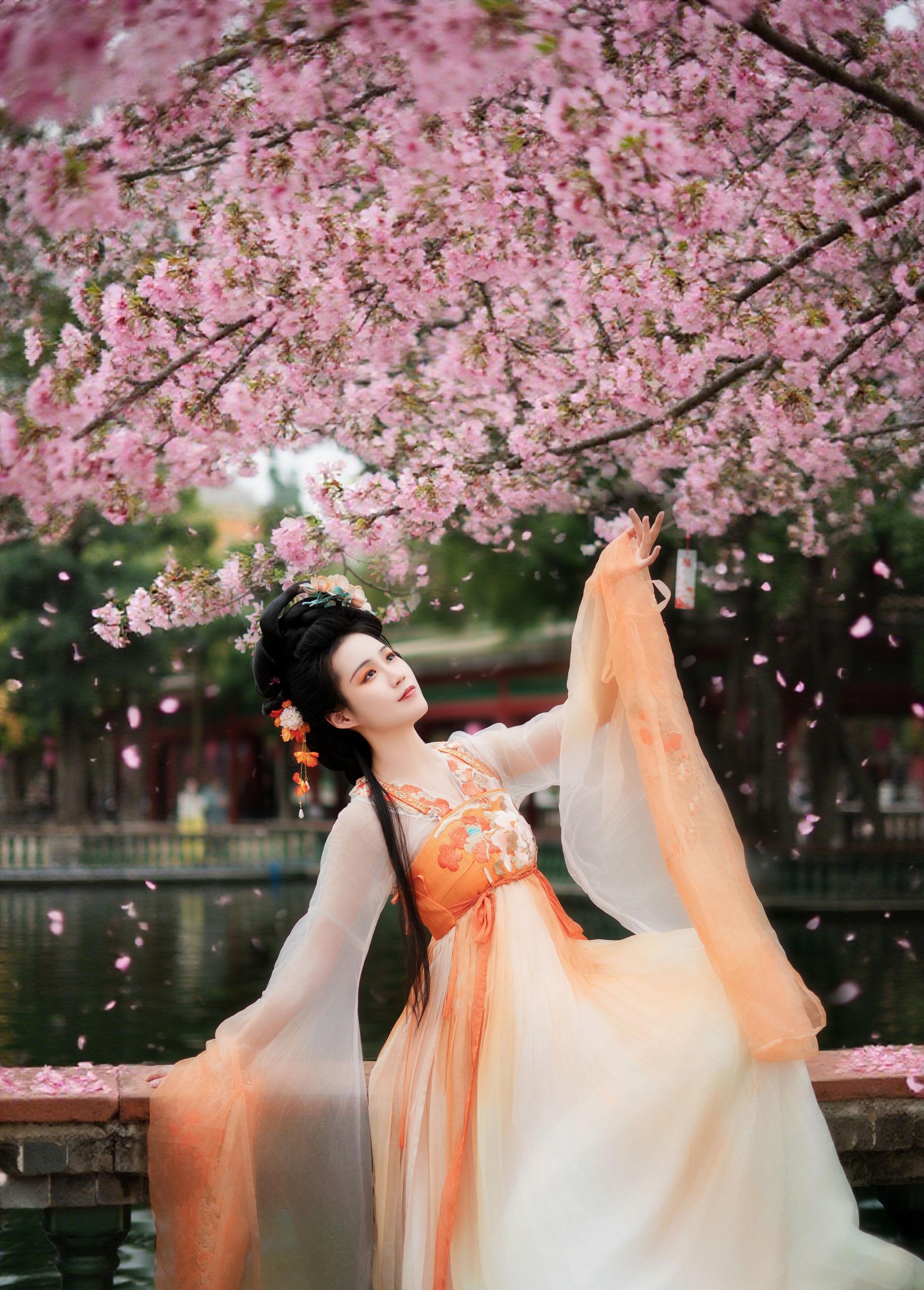 艳子 – 《樱花树下》[18P]