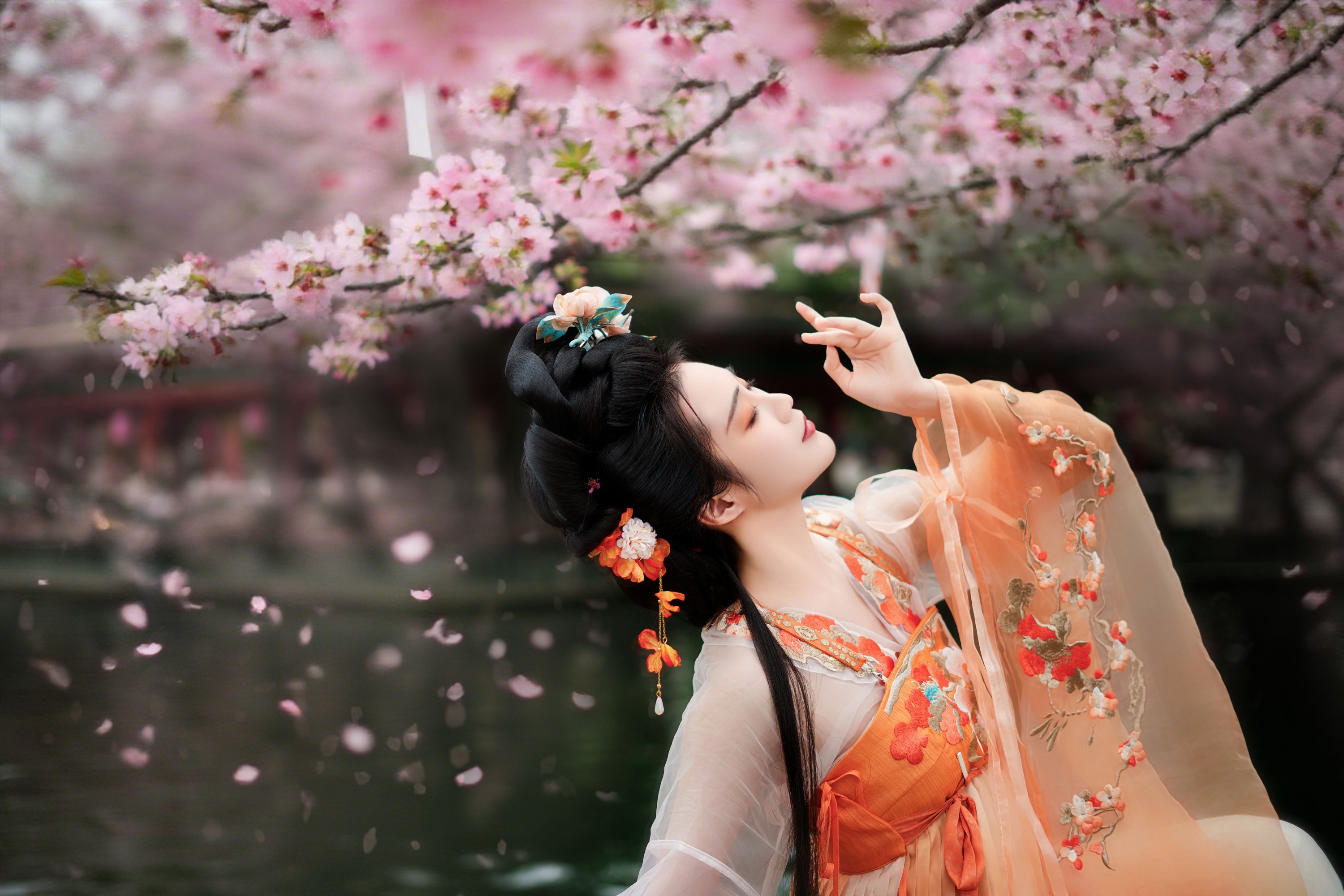 艳子 – 《樱花树下》[18P]